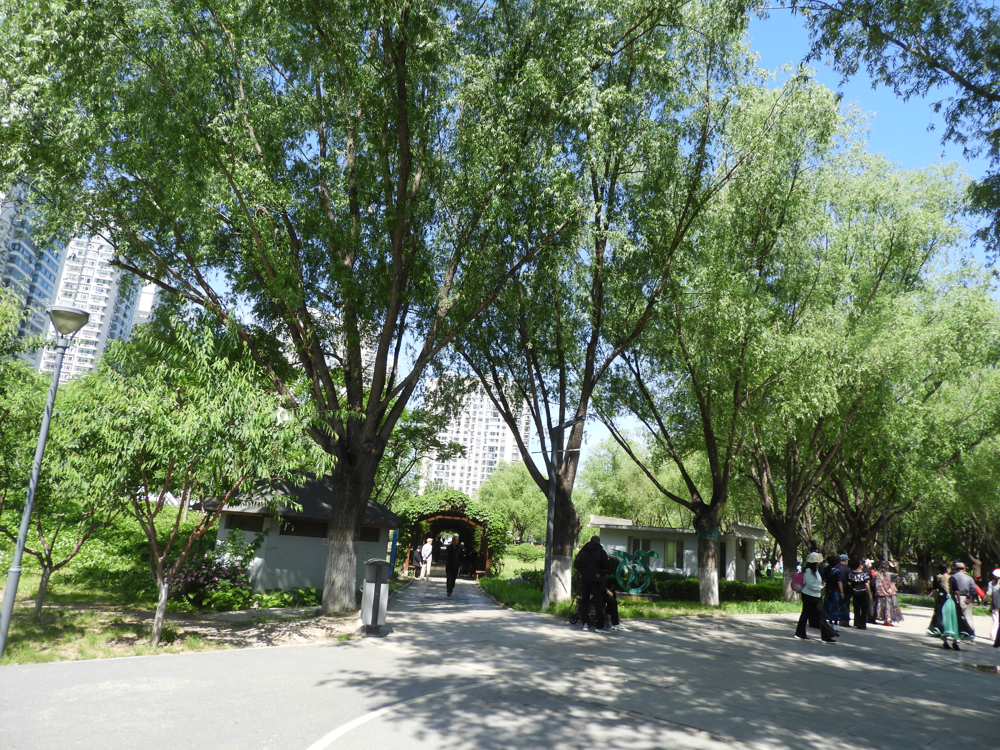DSCN6629.JPG