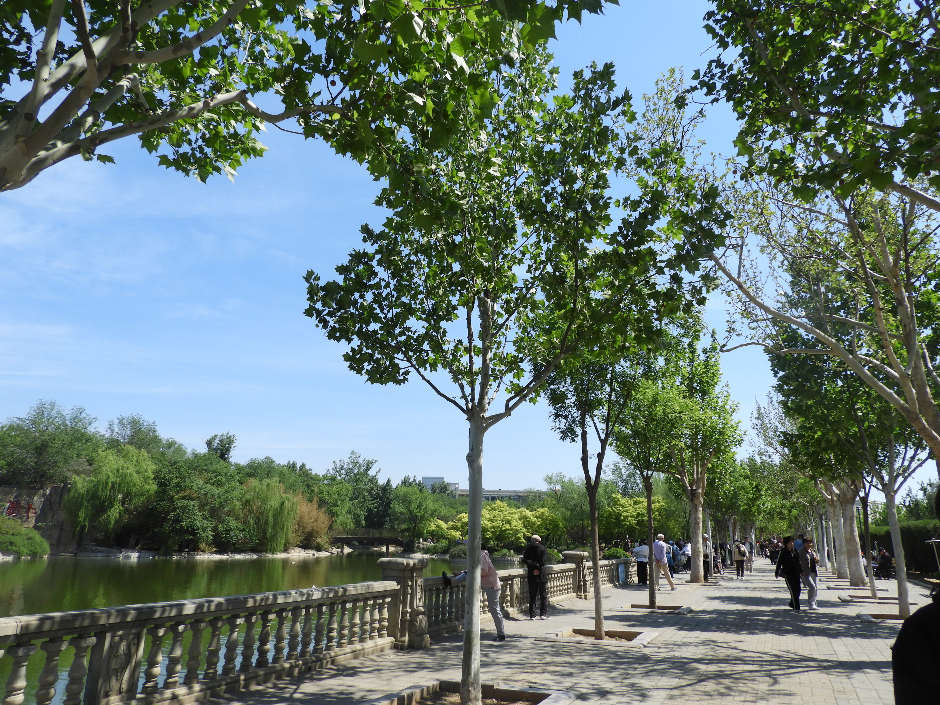 DSCN6678.JPG