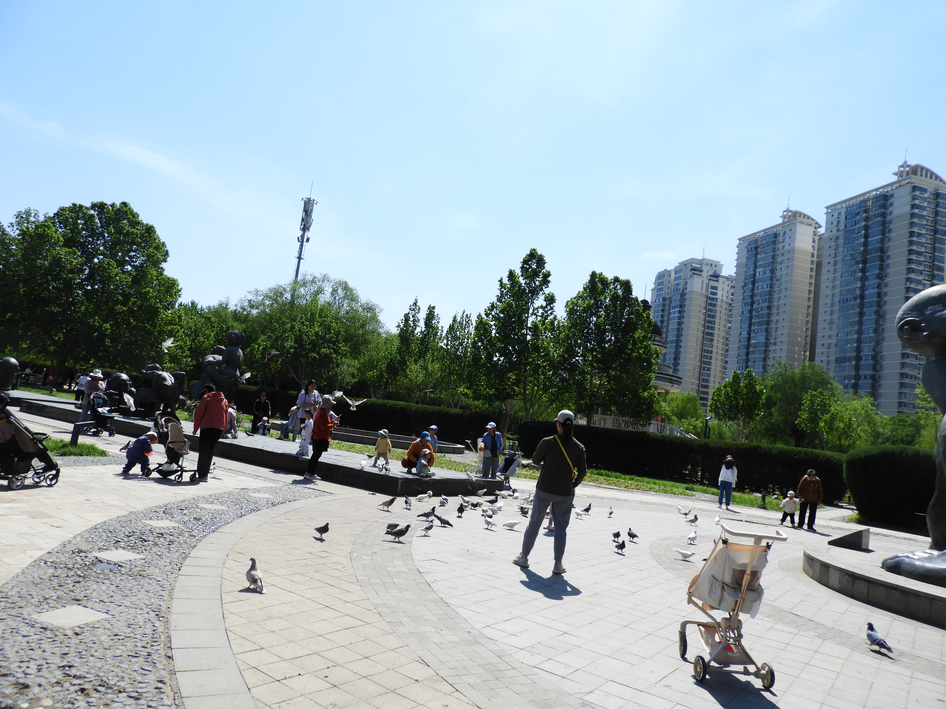 DSCN6667.JPG