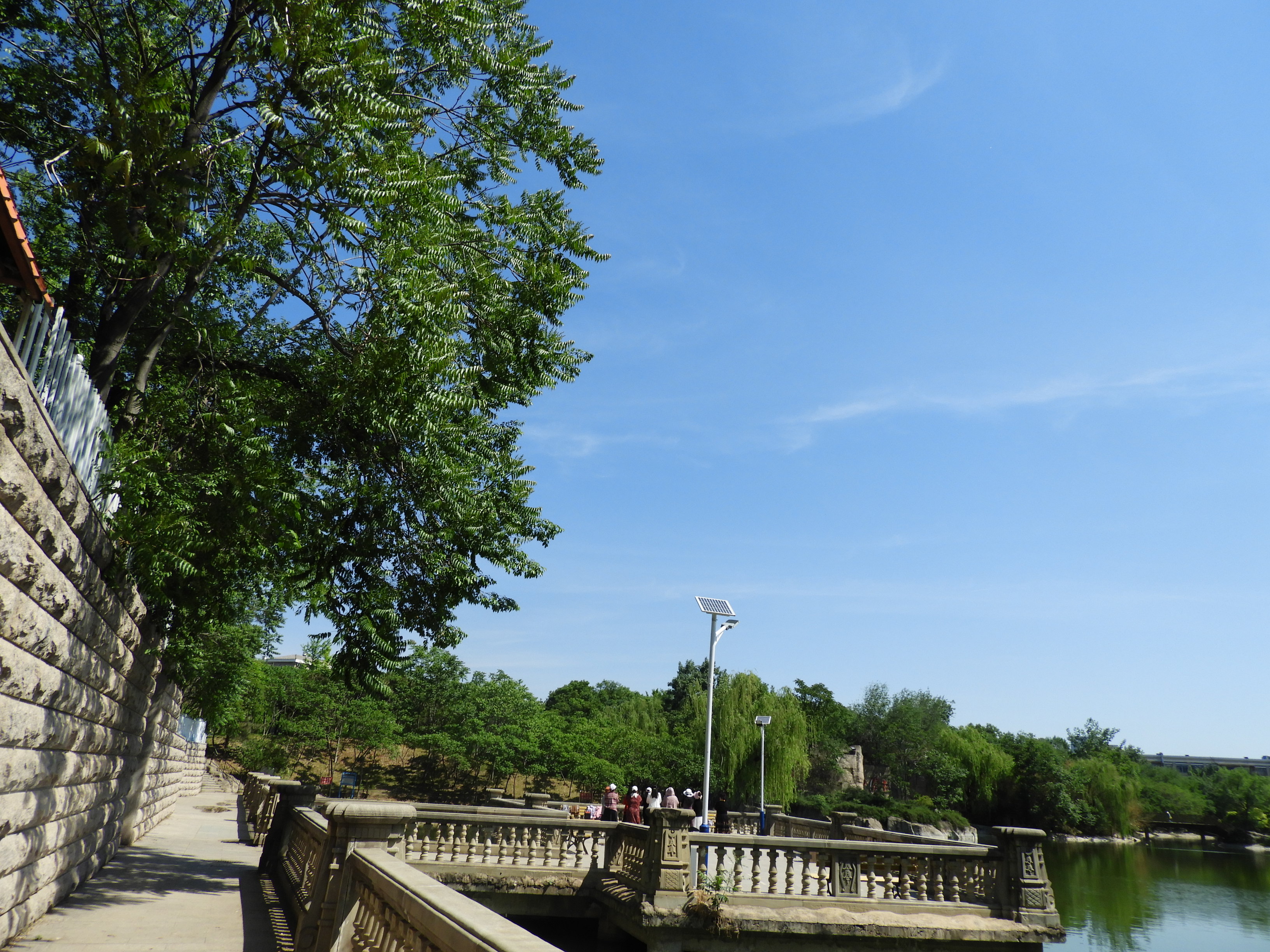 DSCN6651.JPG