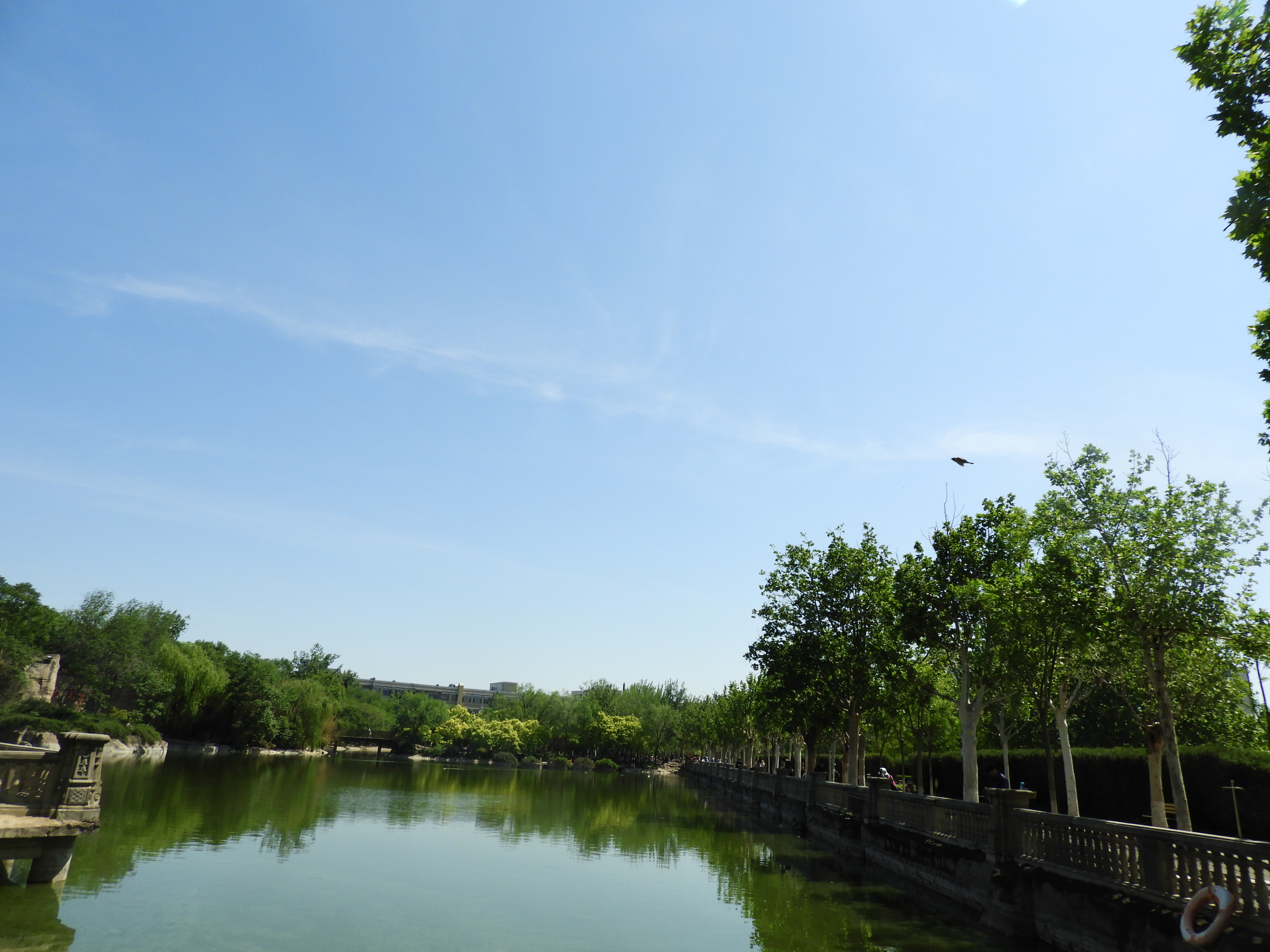 DSCN6650.JPG