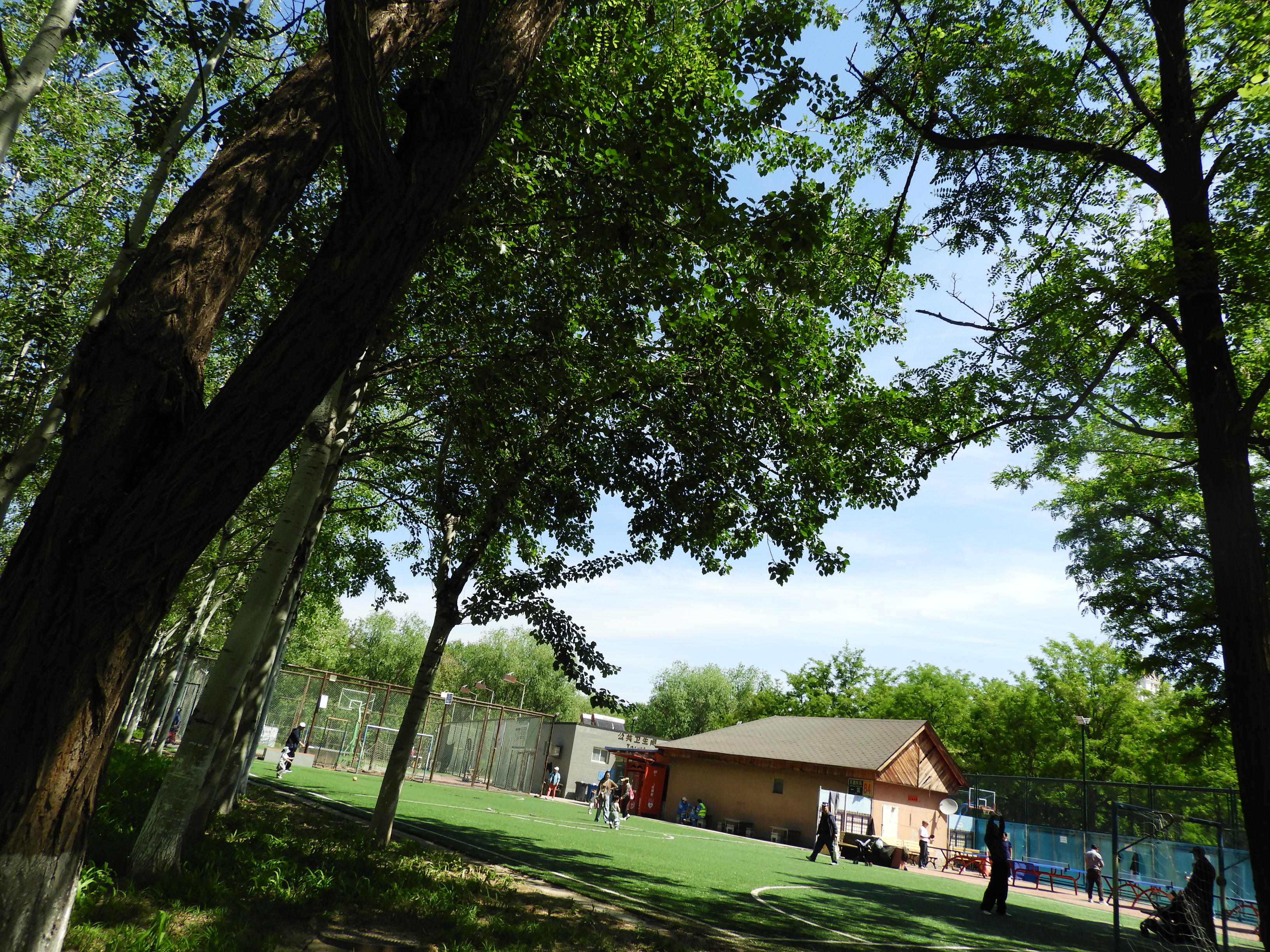 DSCN6705.JPG
