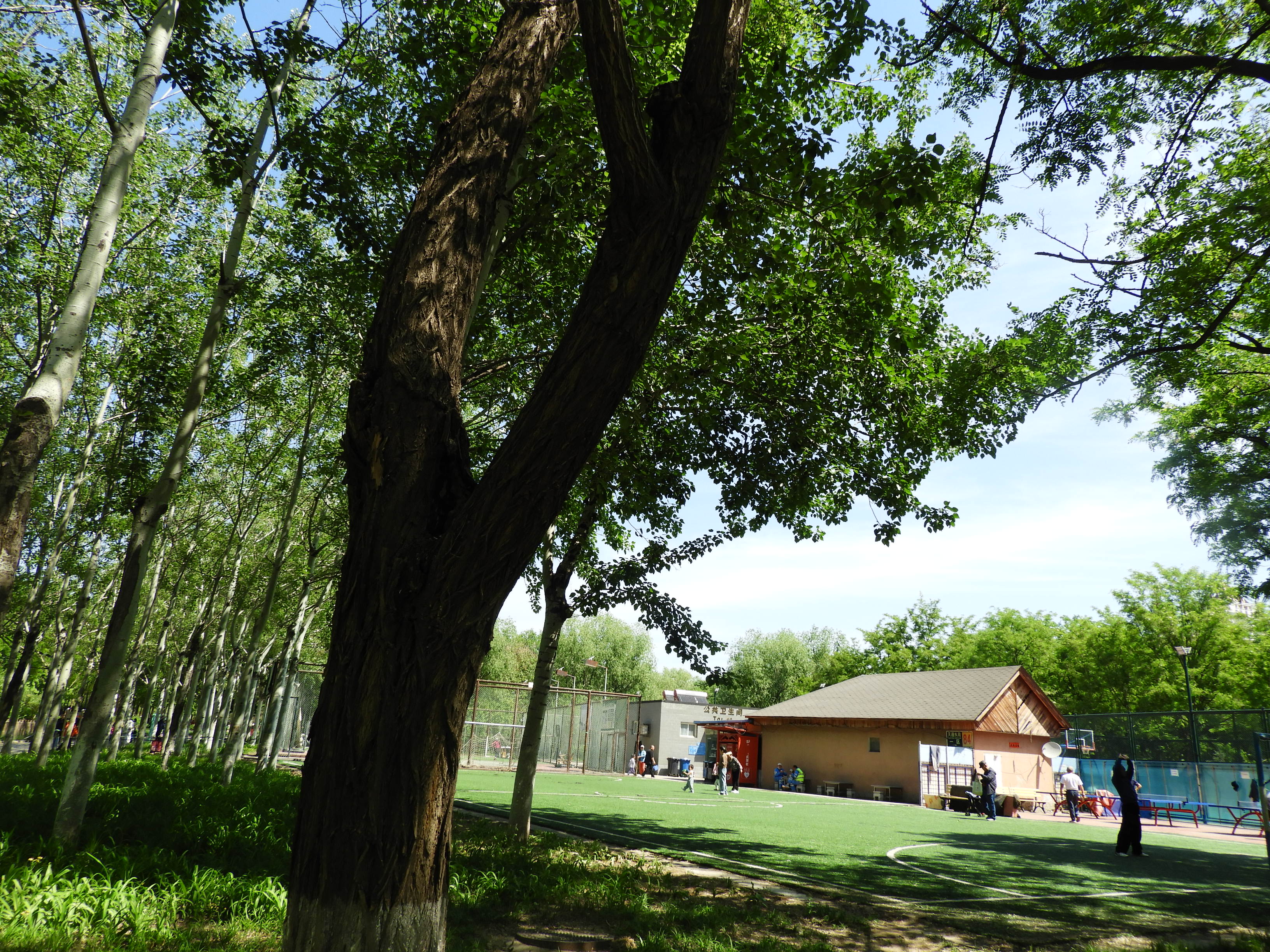 DSCN6704.JPG