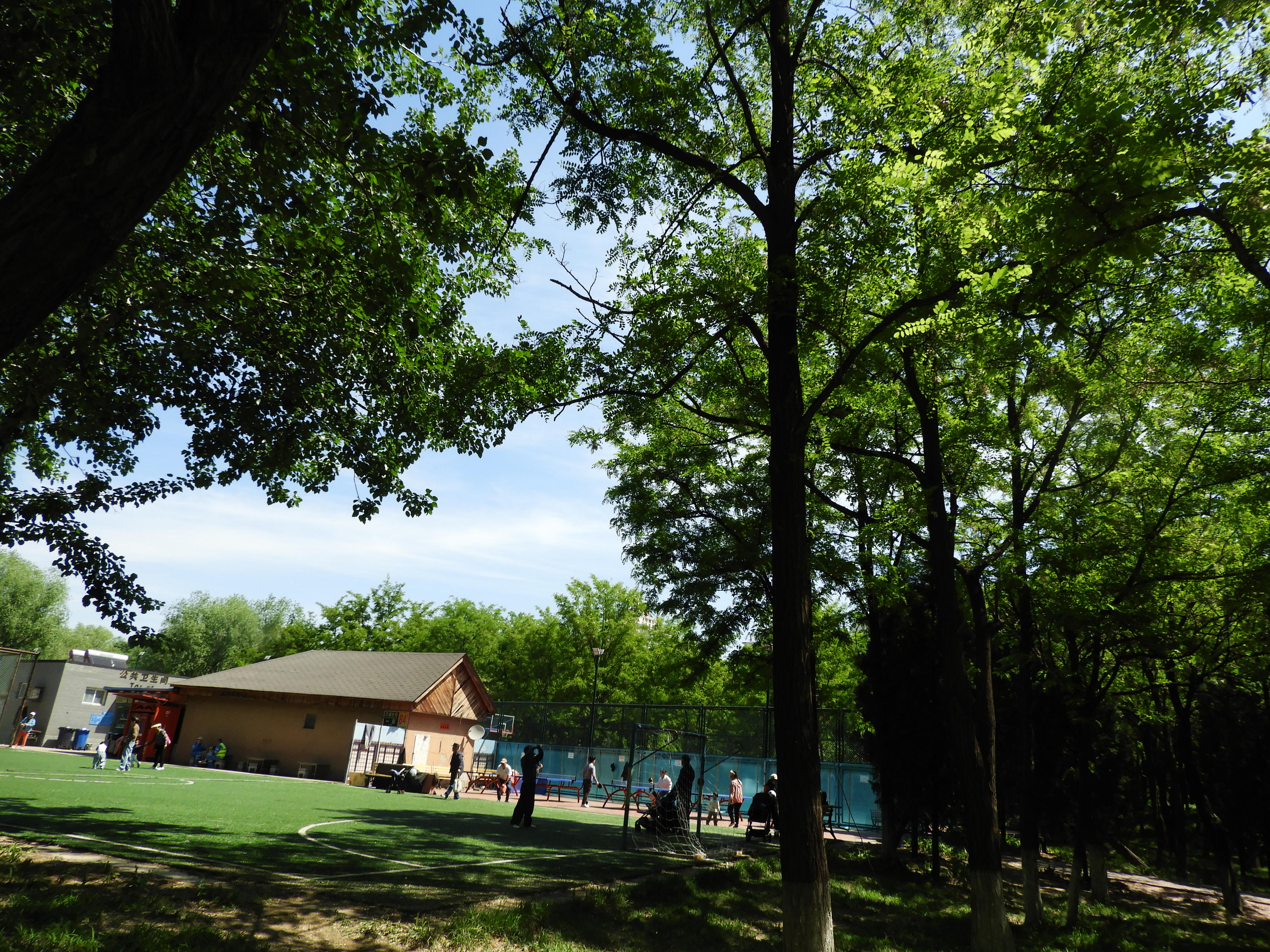 DSCN6703.JPG