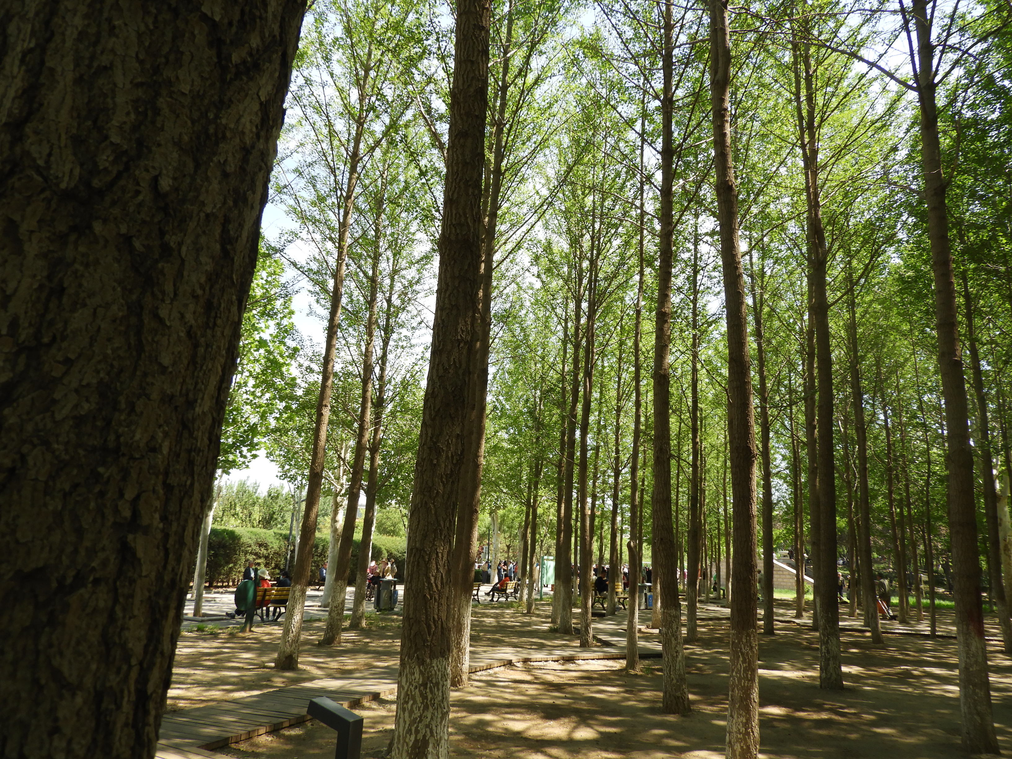 DSCN6701.JPG