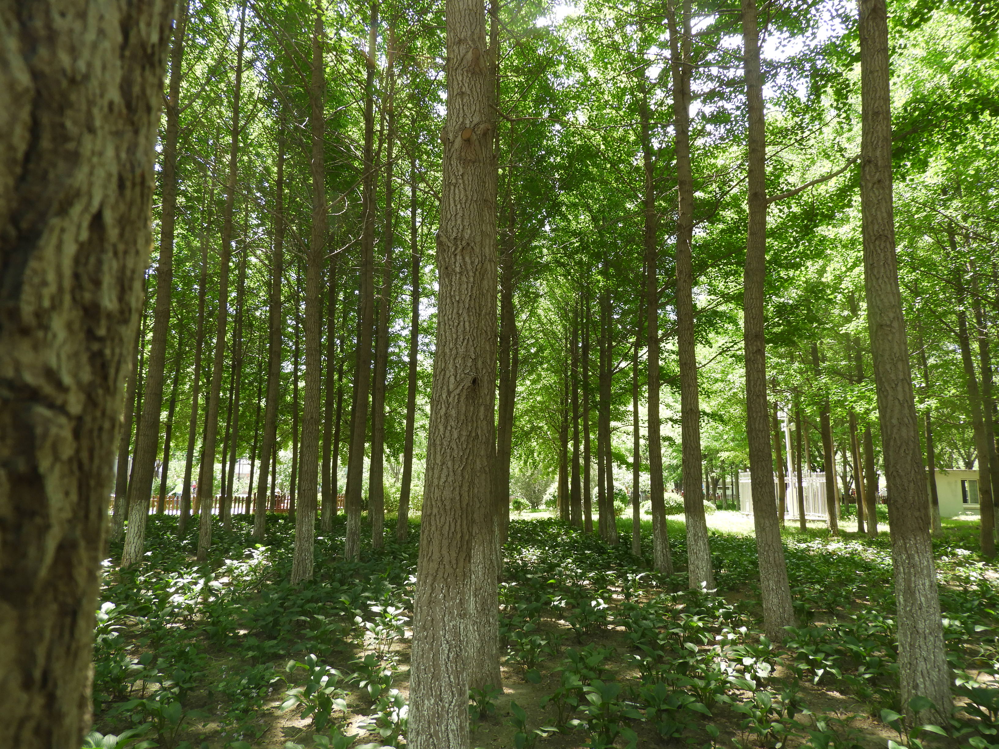 DSCN6696.JPG