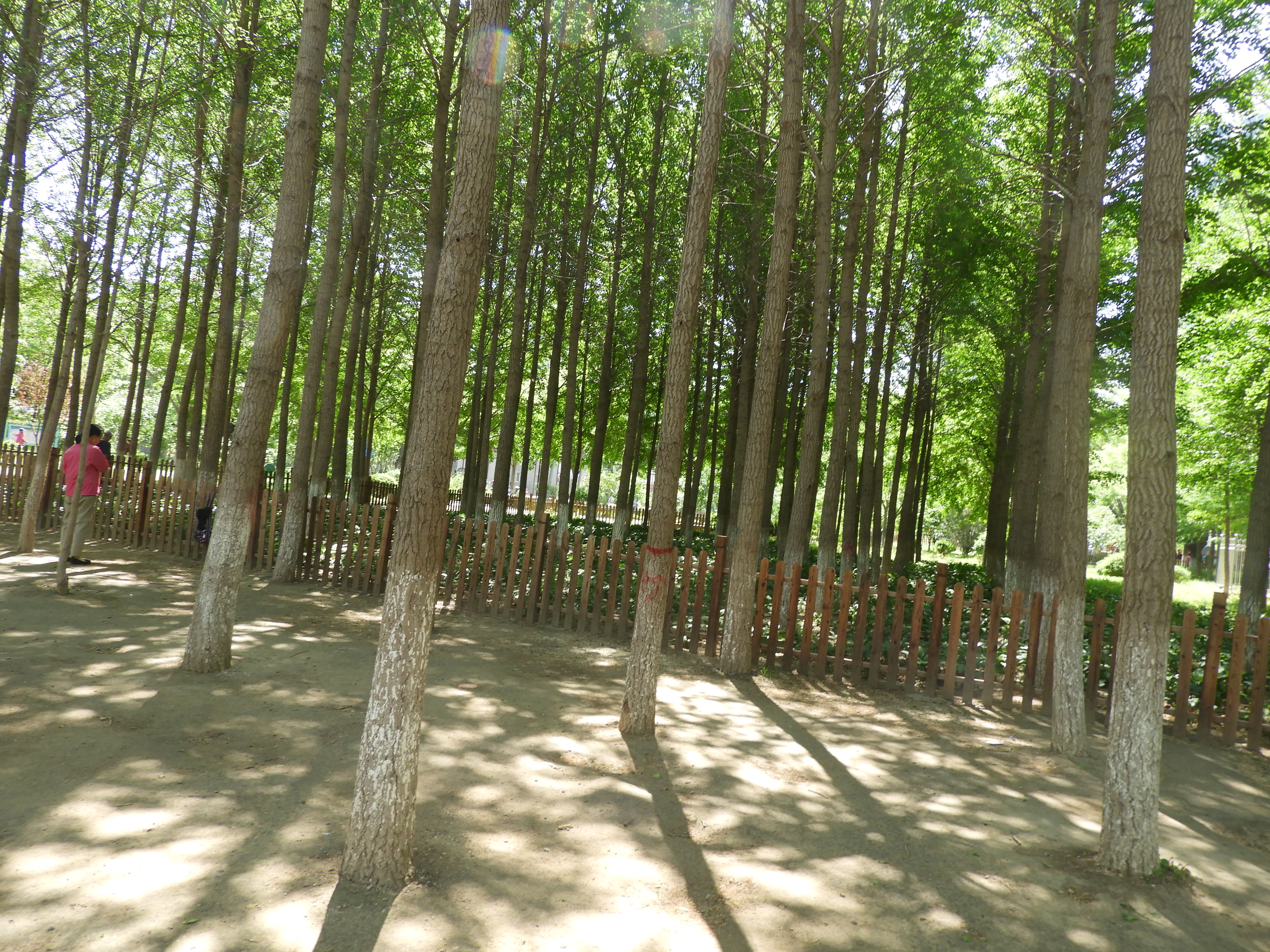 DSCN6681.JPG