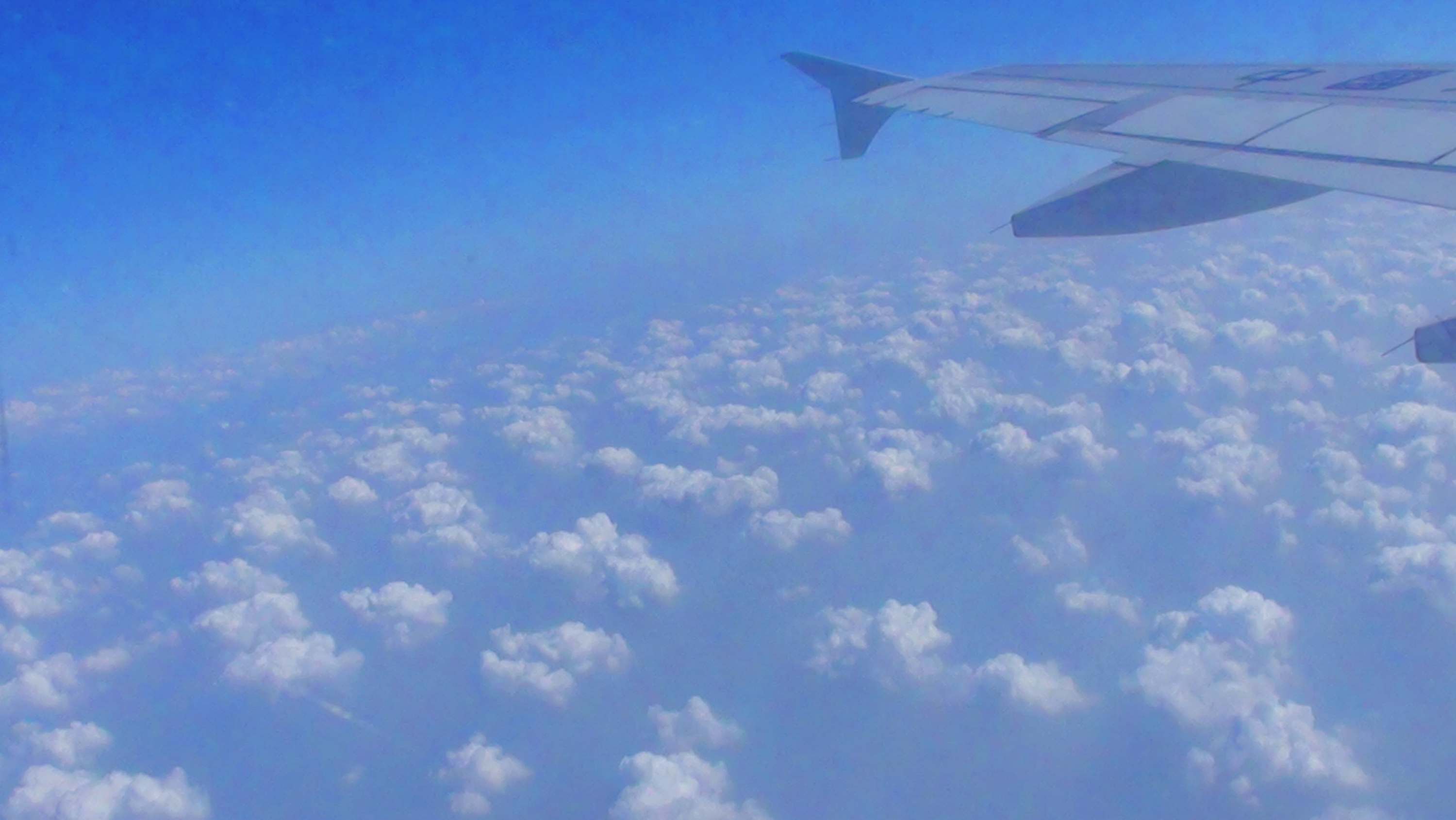 DSC00453.JPG