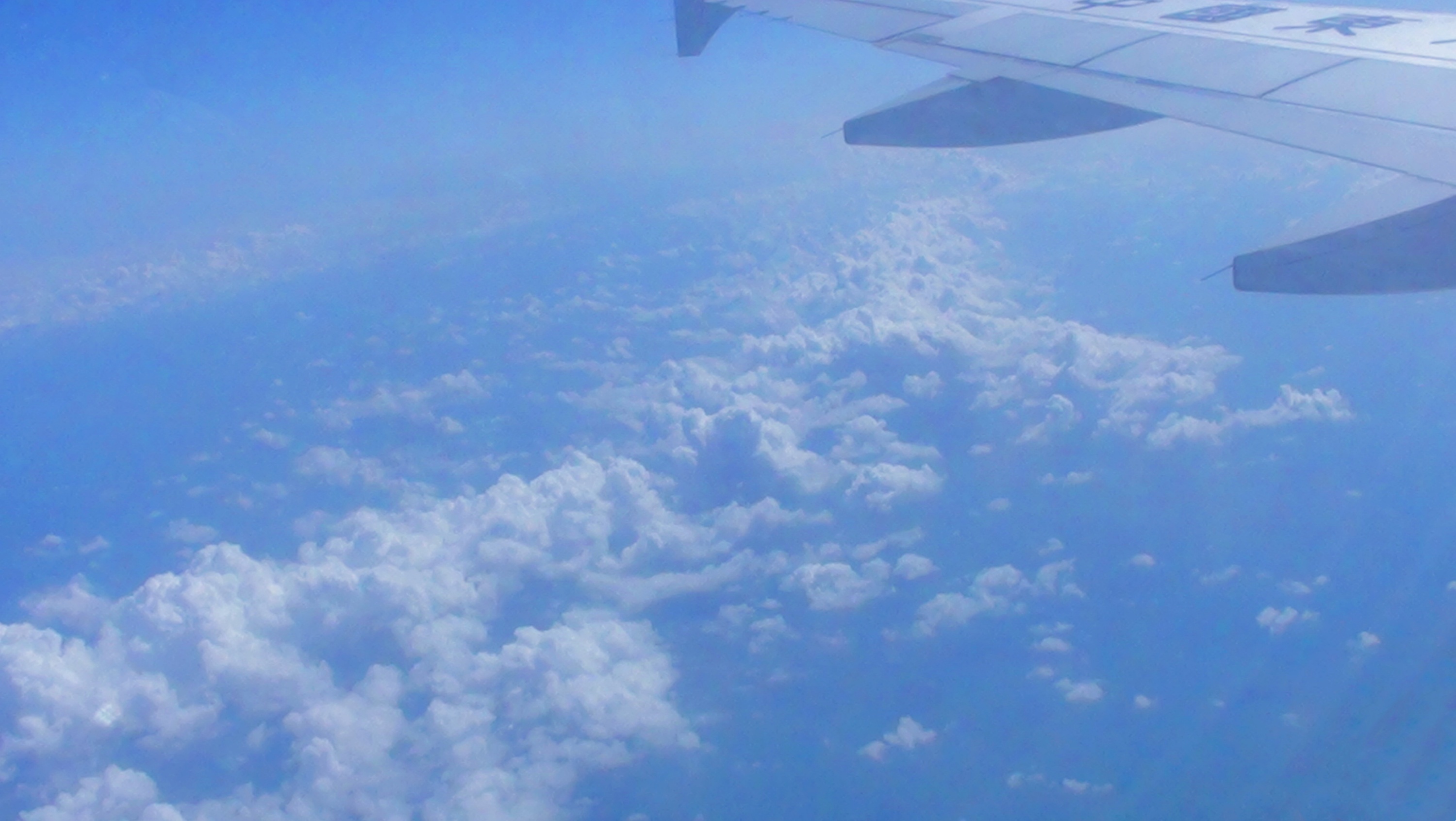 DSC00454.JPG