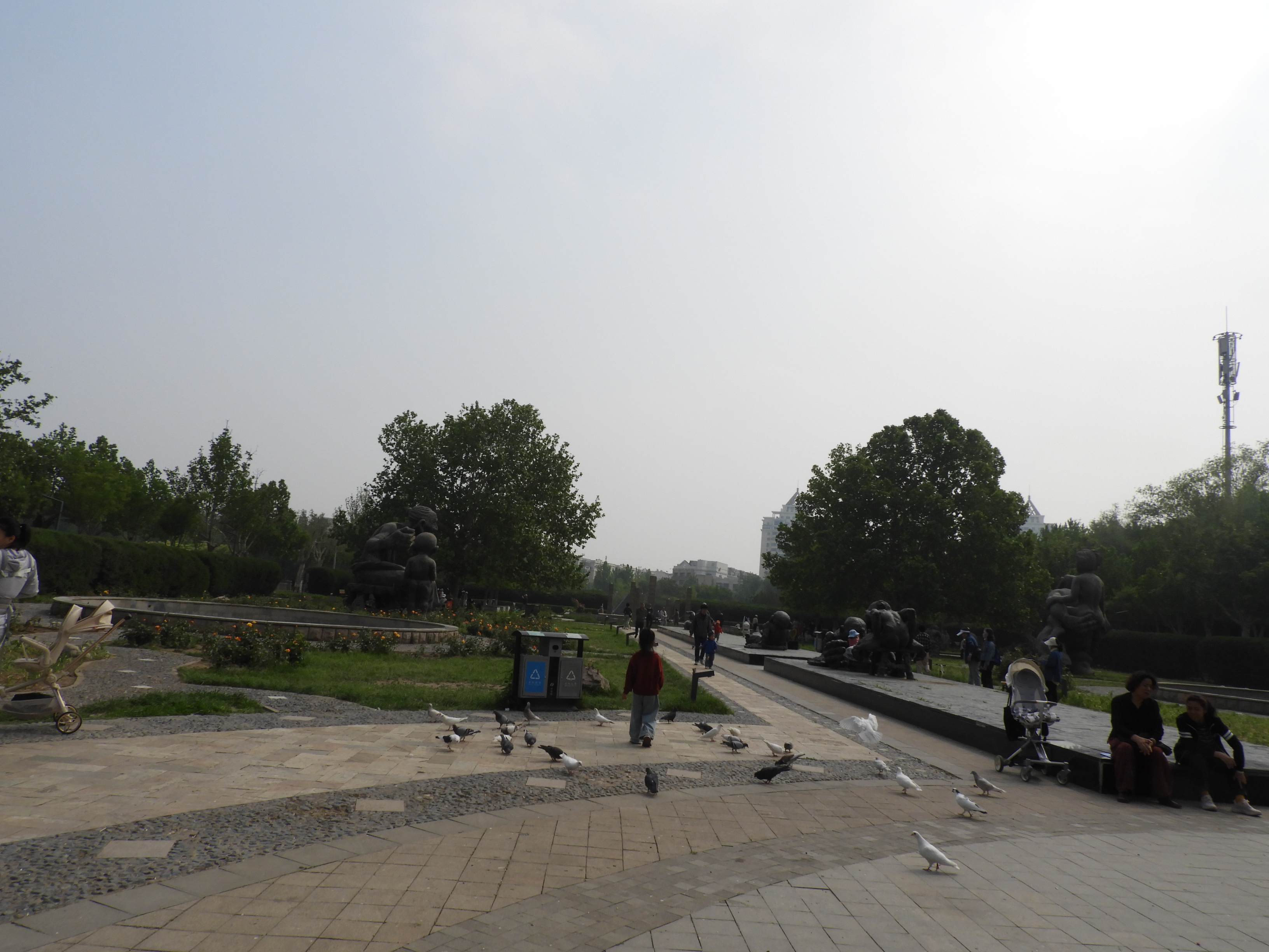 DSCN6755.JPG