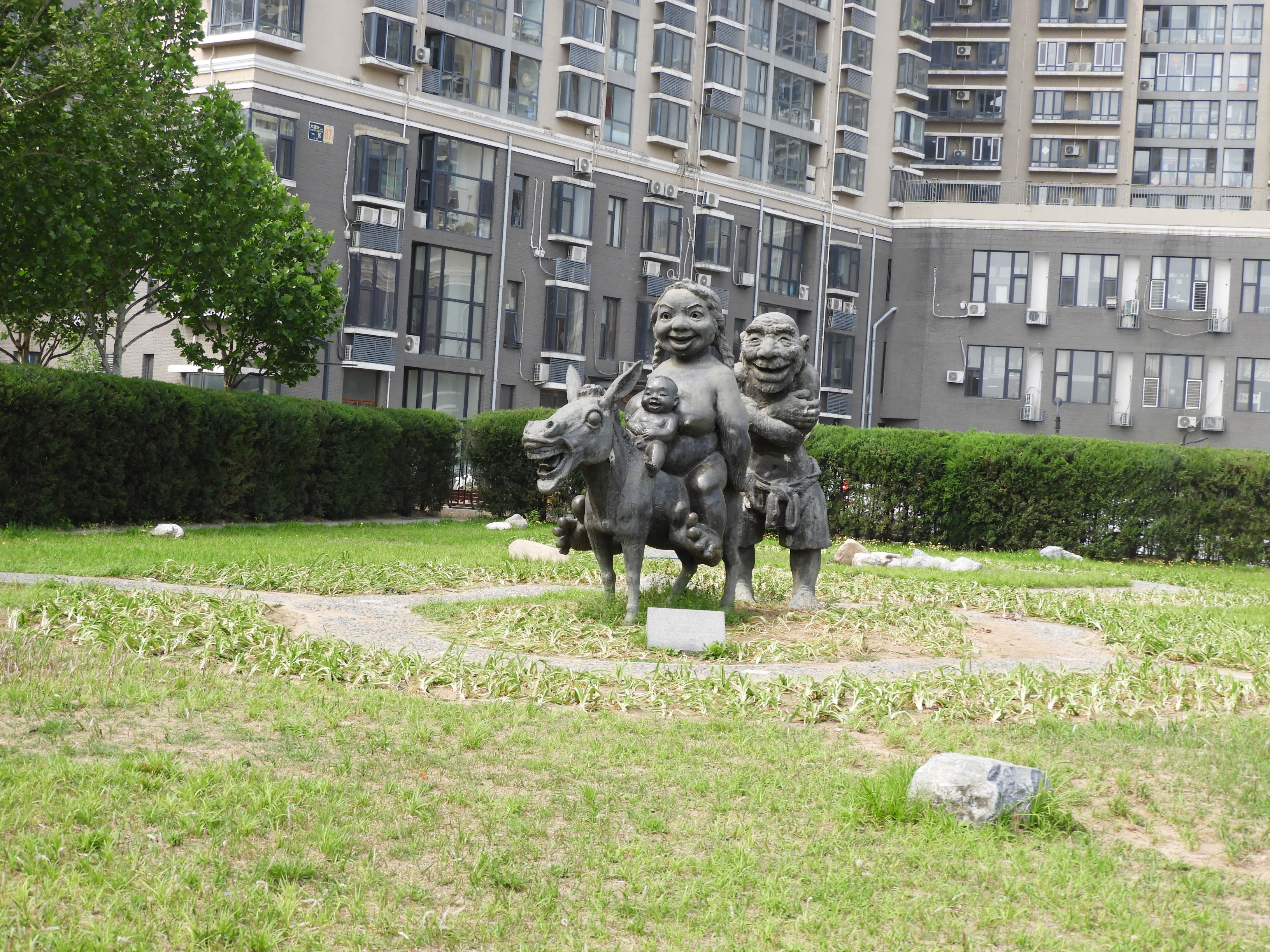 DSCN6739.JPG