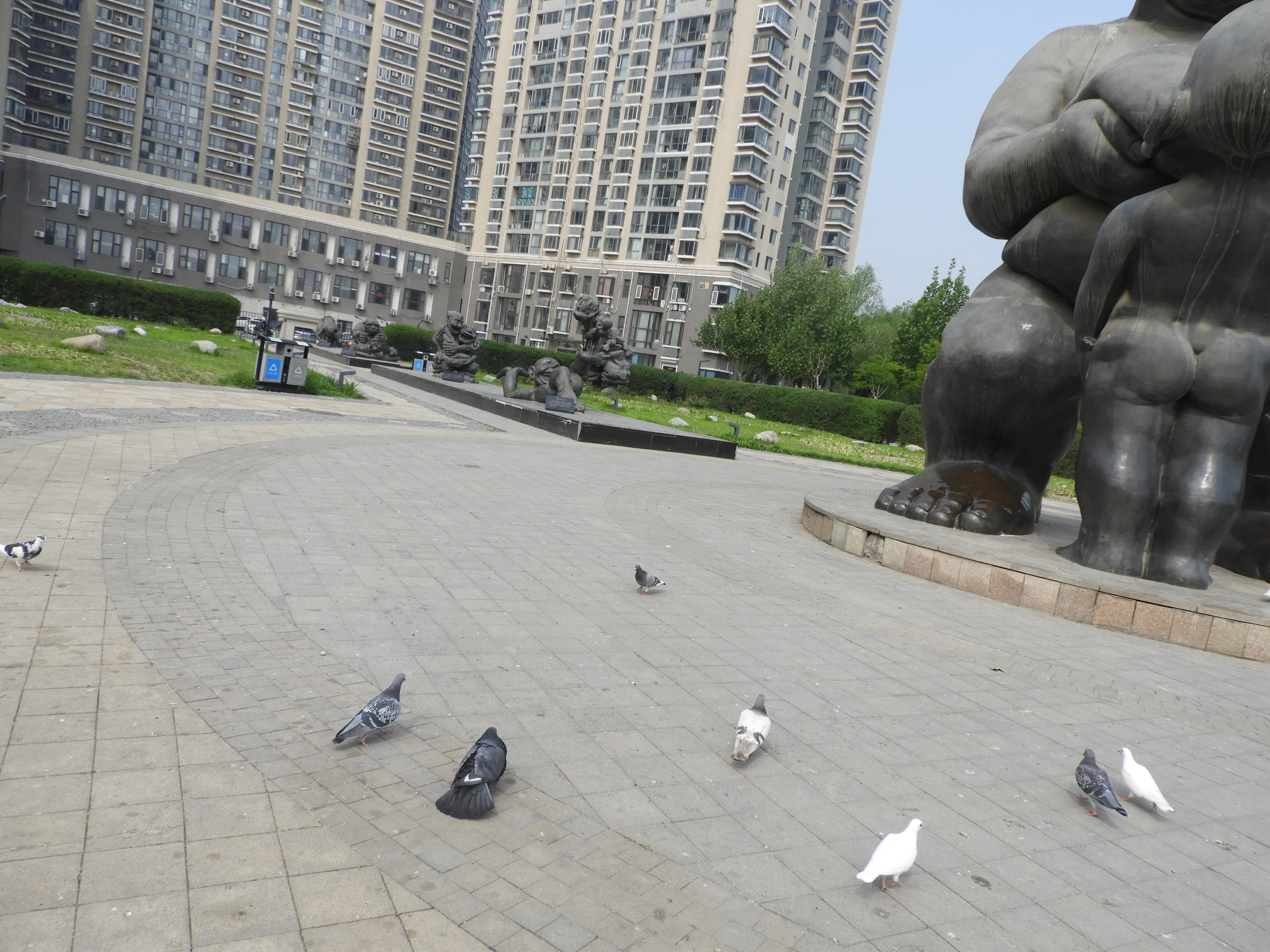 DSCN6737.JPG