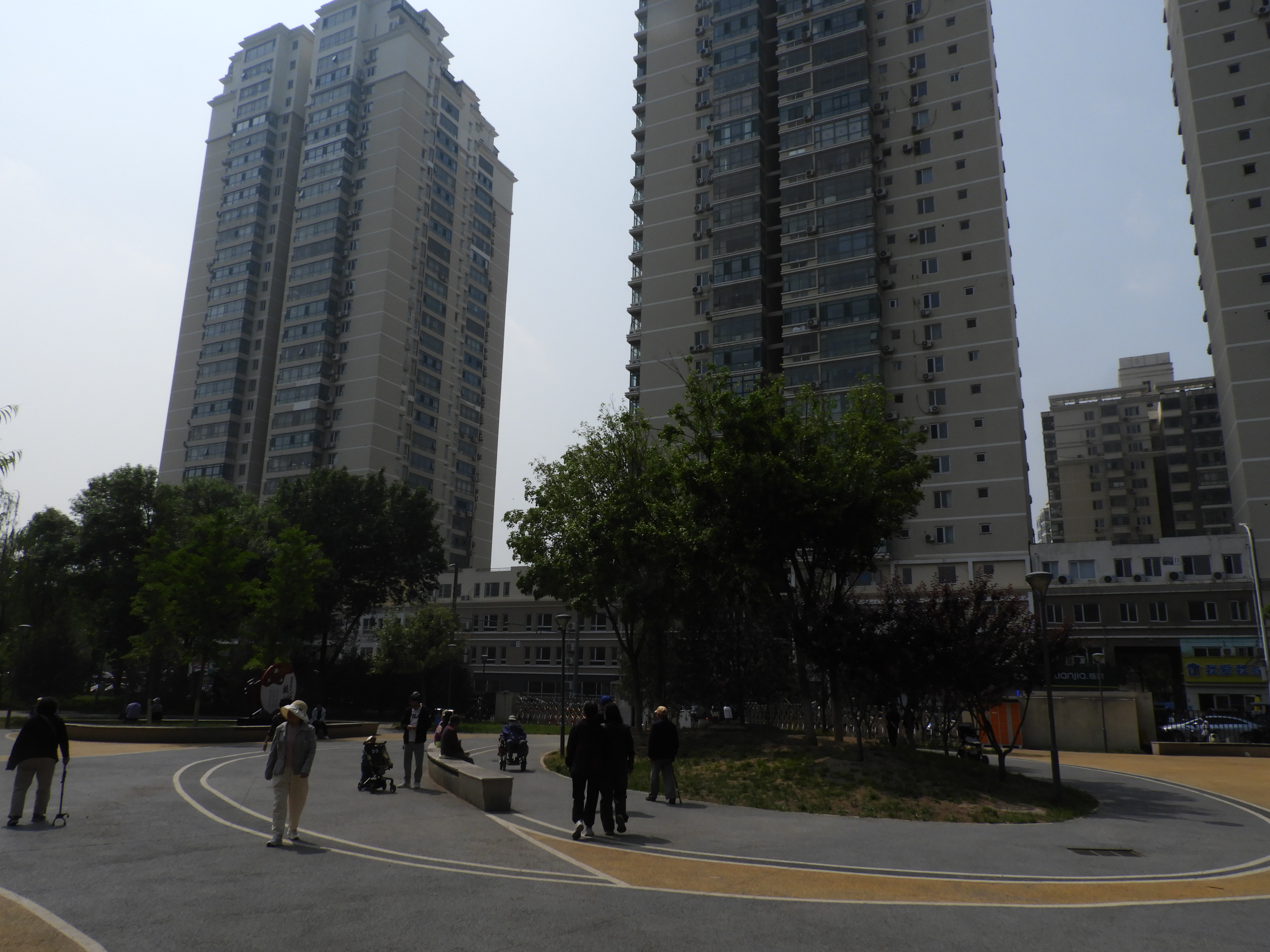 DSCN6767.JPG