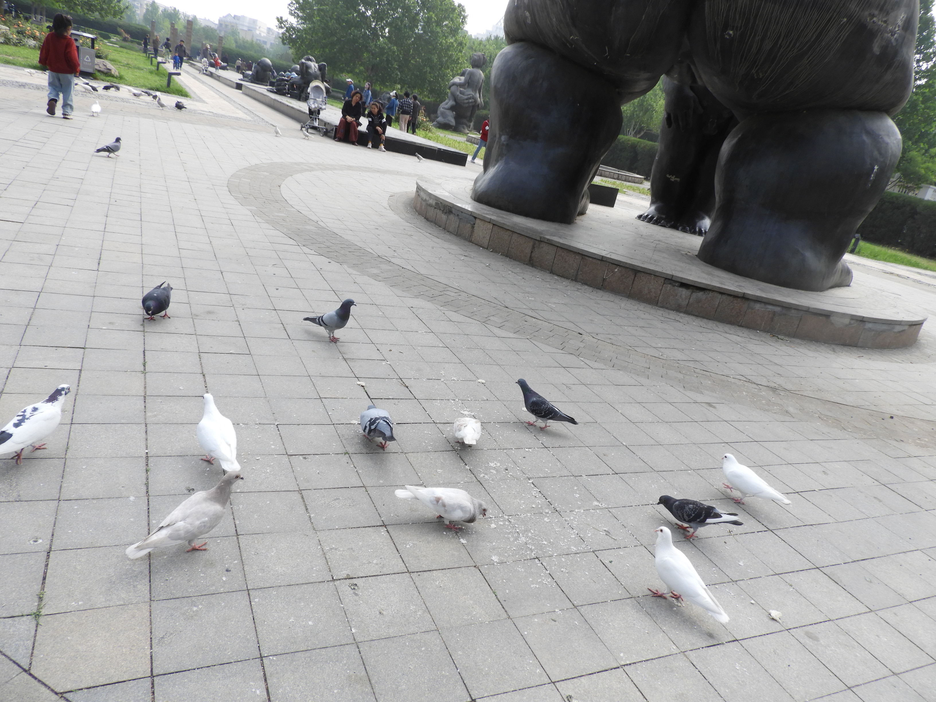 DSCN6752.JPG