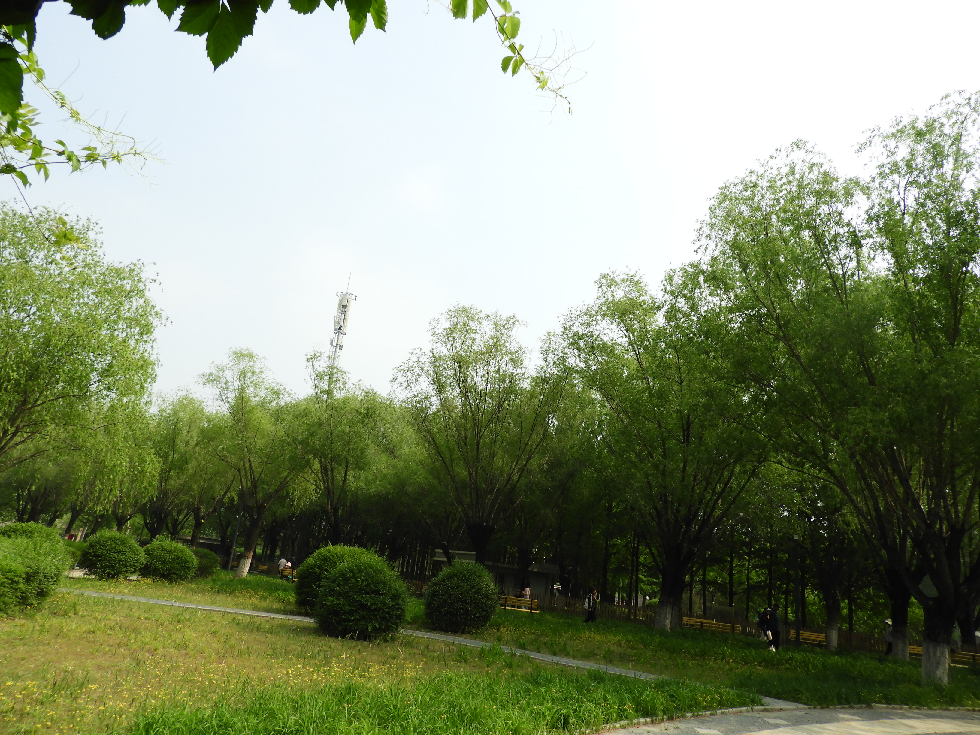 DSCN6725.JPG