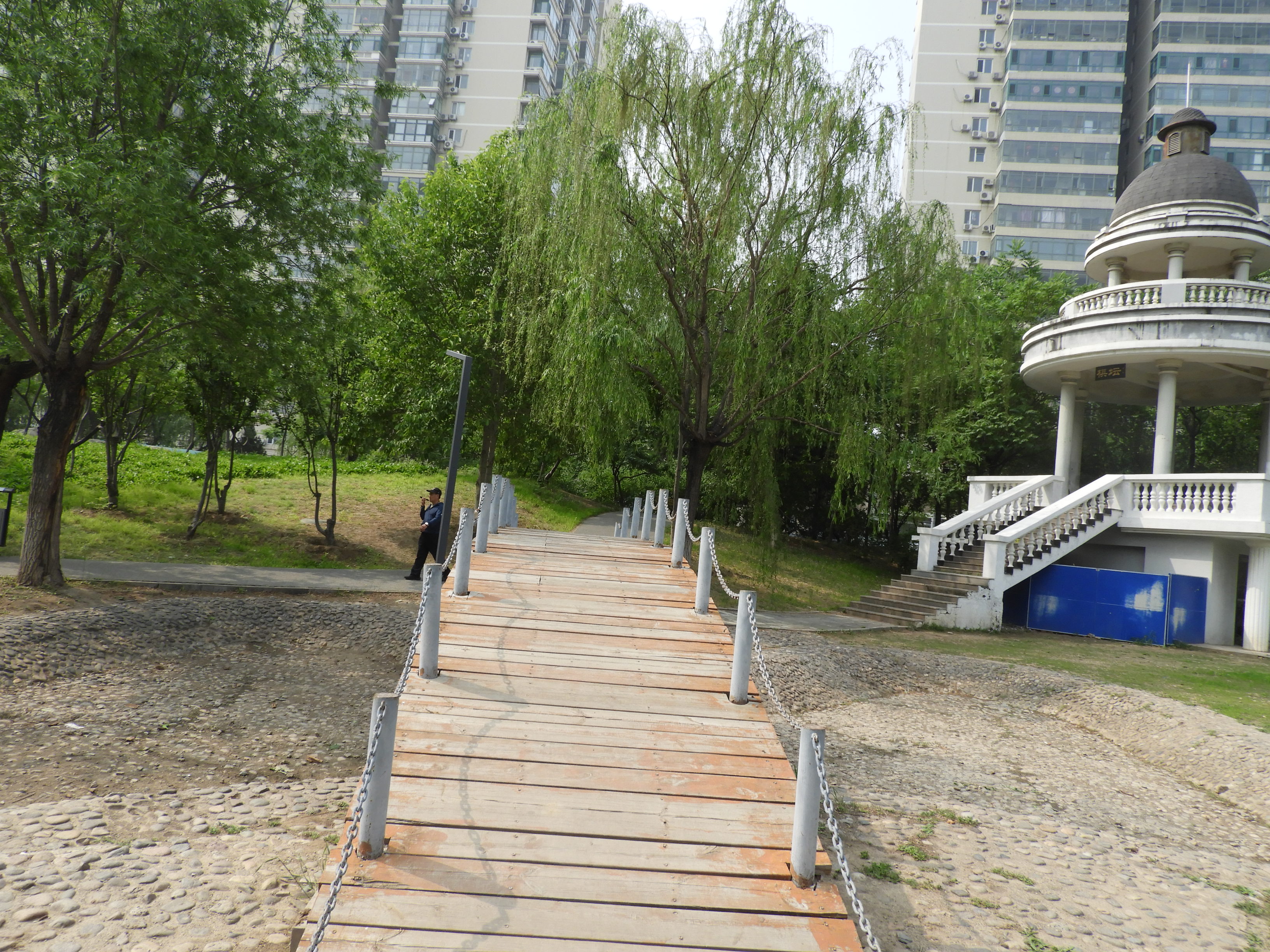 DSCN6724.JPG