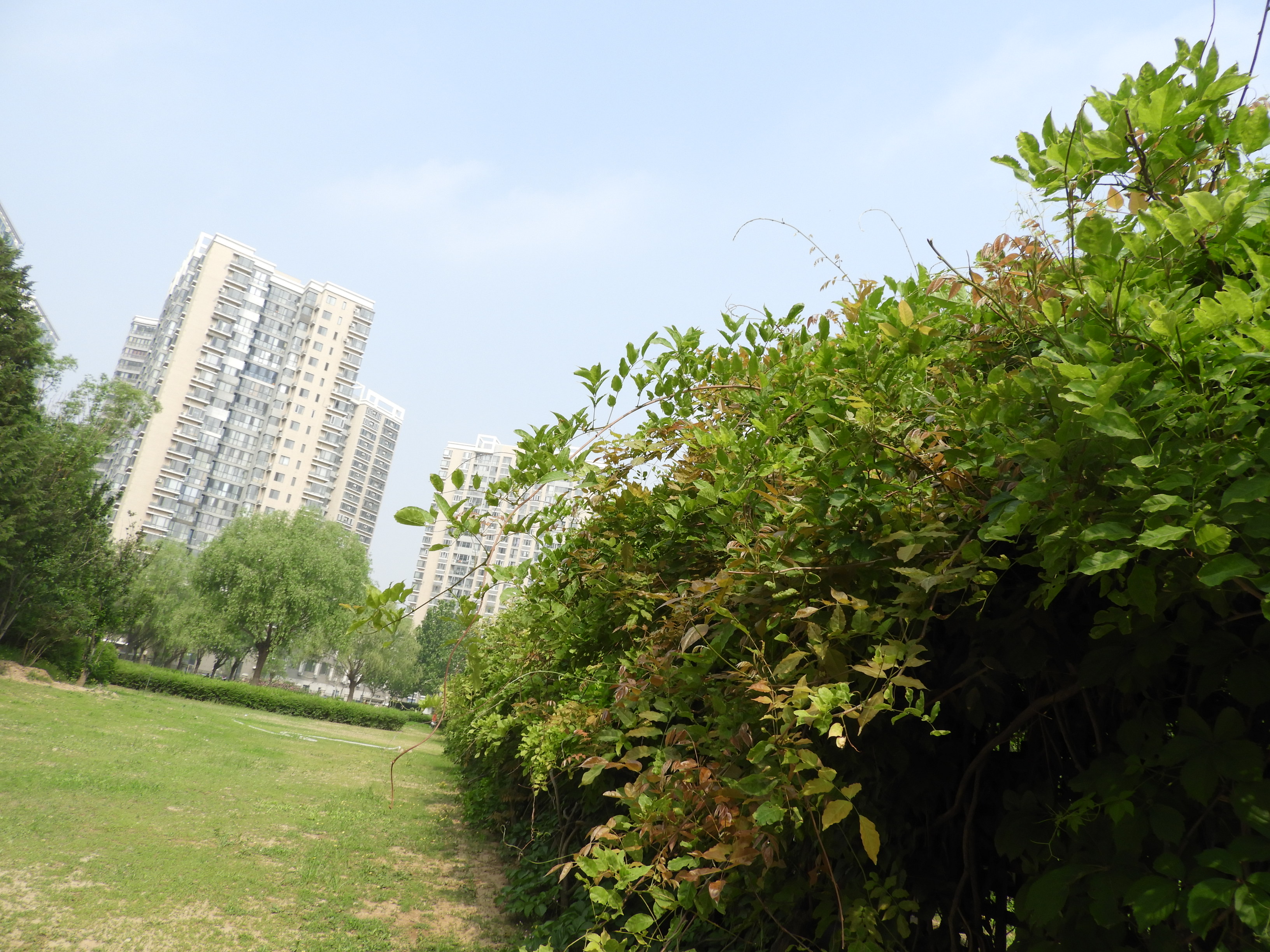 DSCN6722.JPG