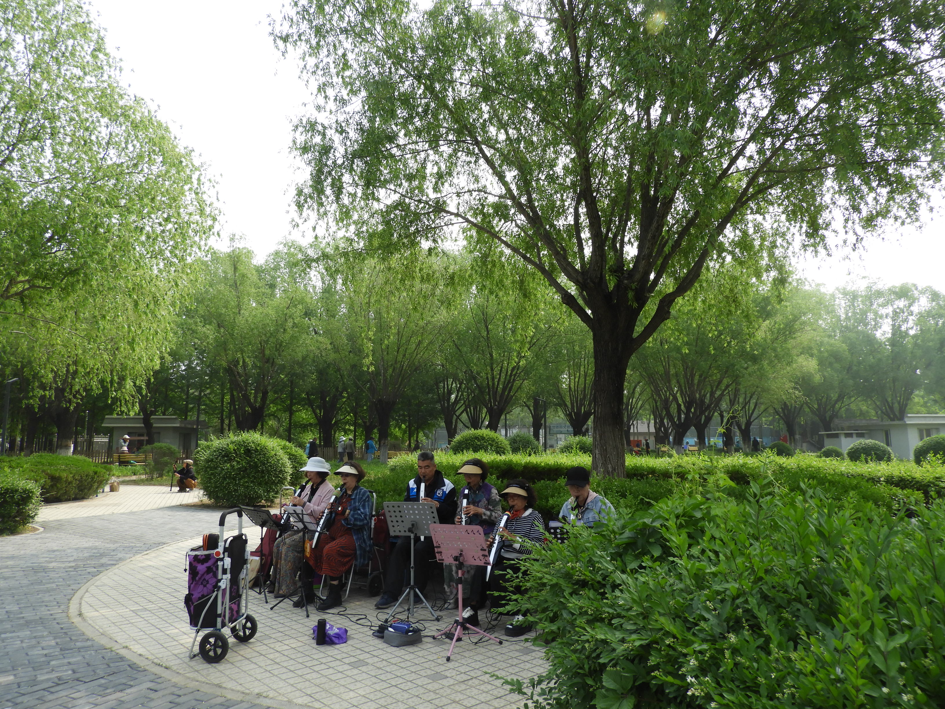 DSCN6716.JPG