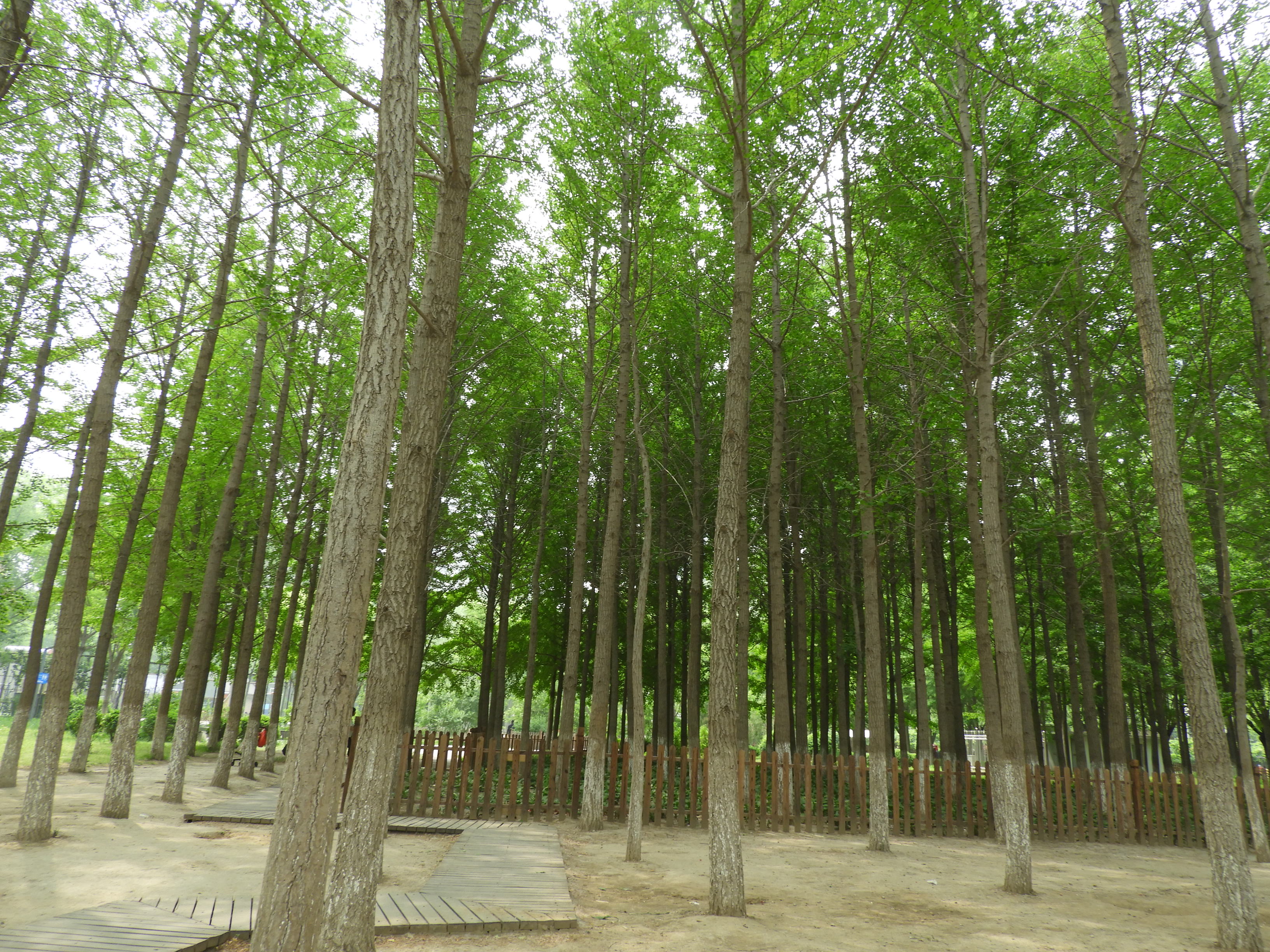 DSCN6848.JPG