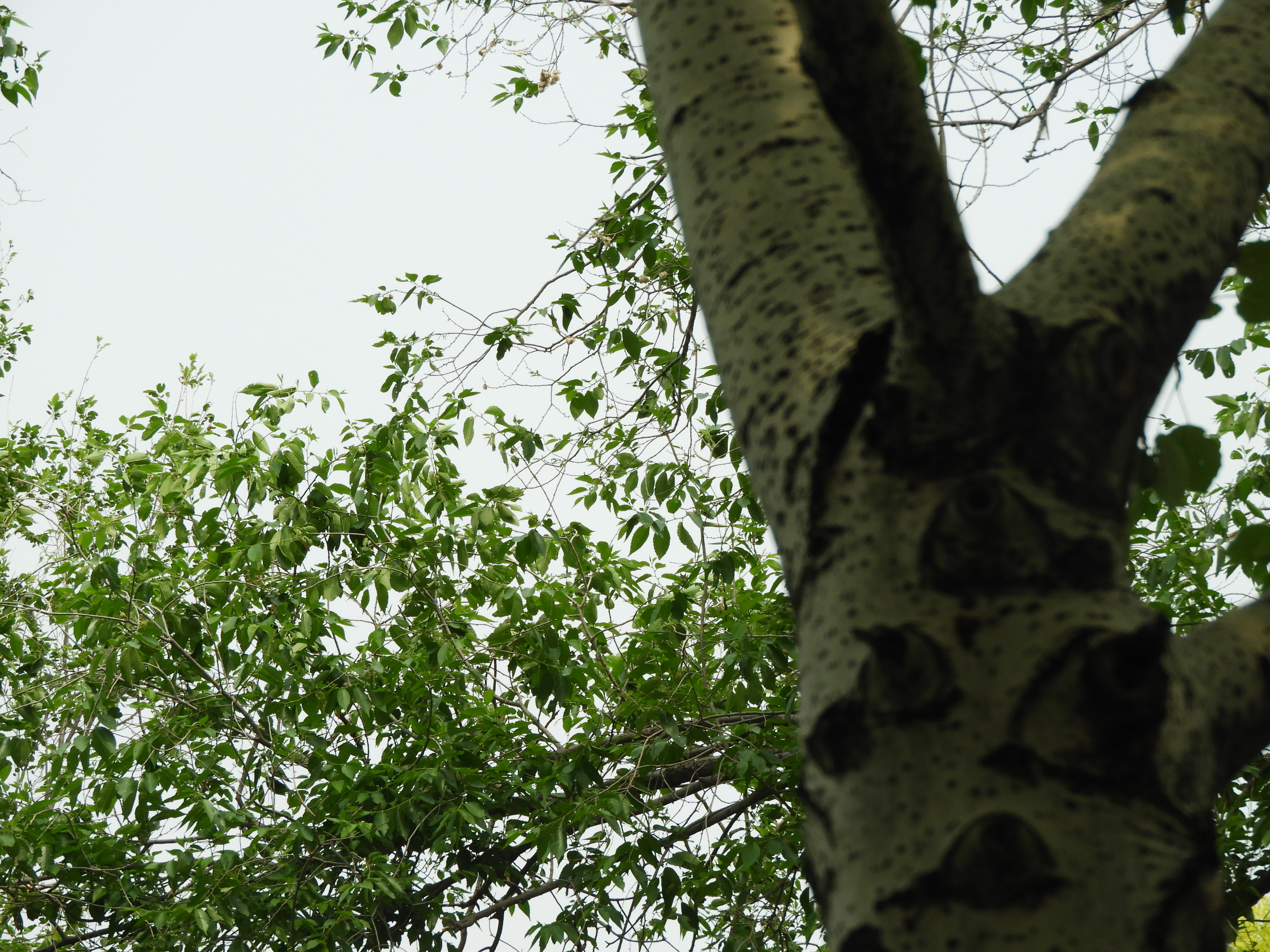 DSCN6841.JPG
