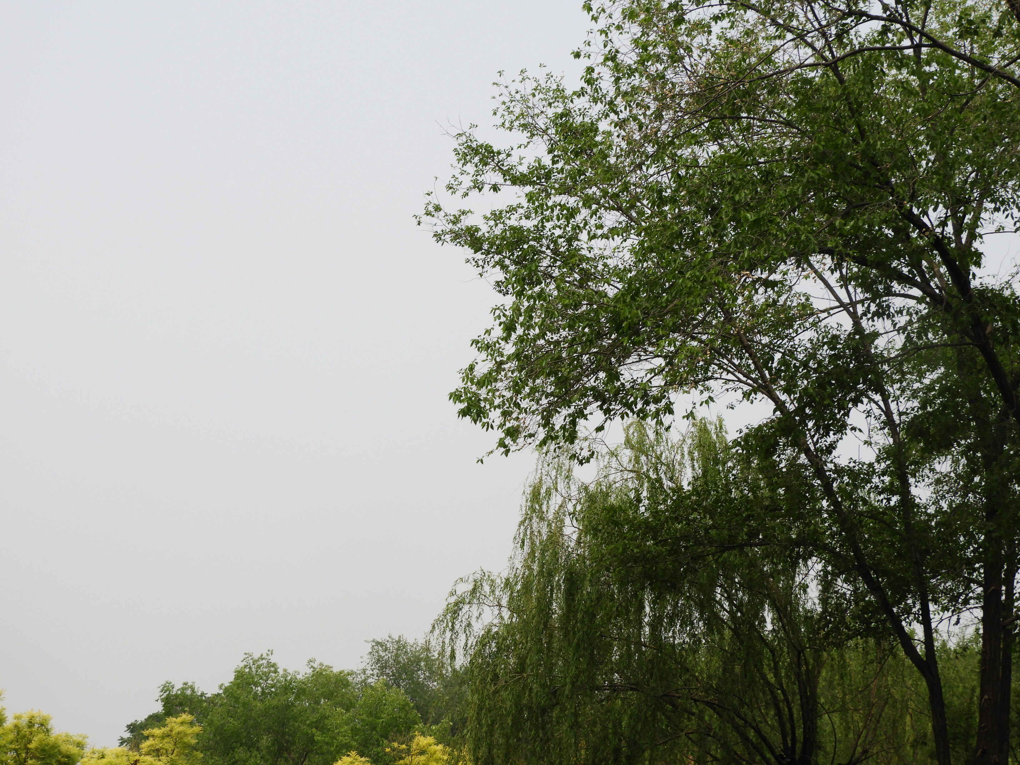 DSCN6834.JPG