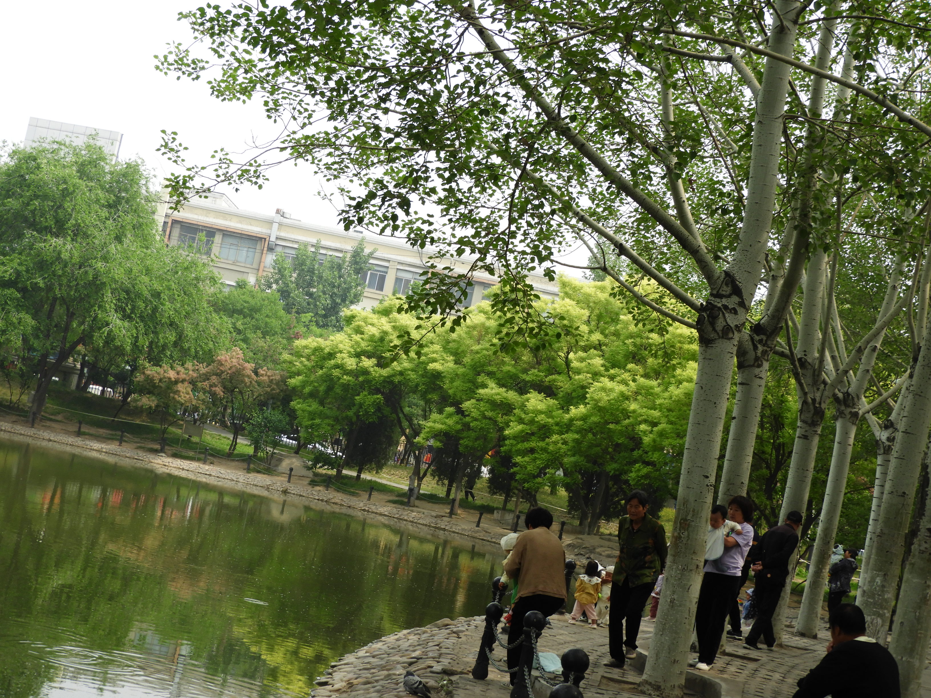 DSCN6832.JPG
