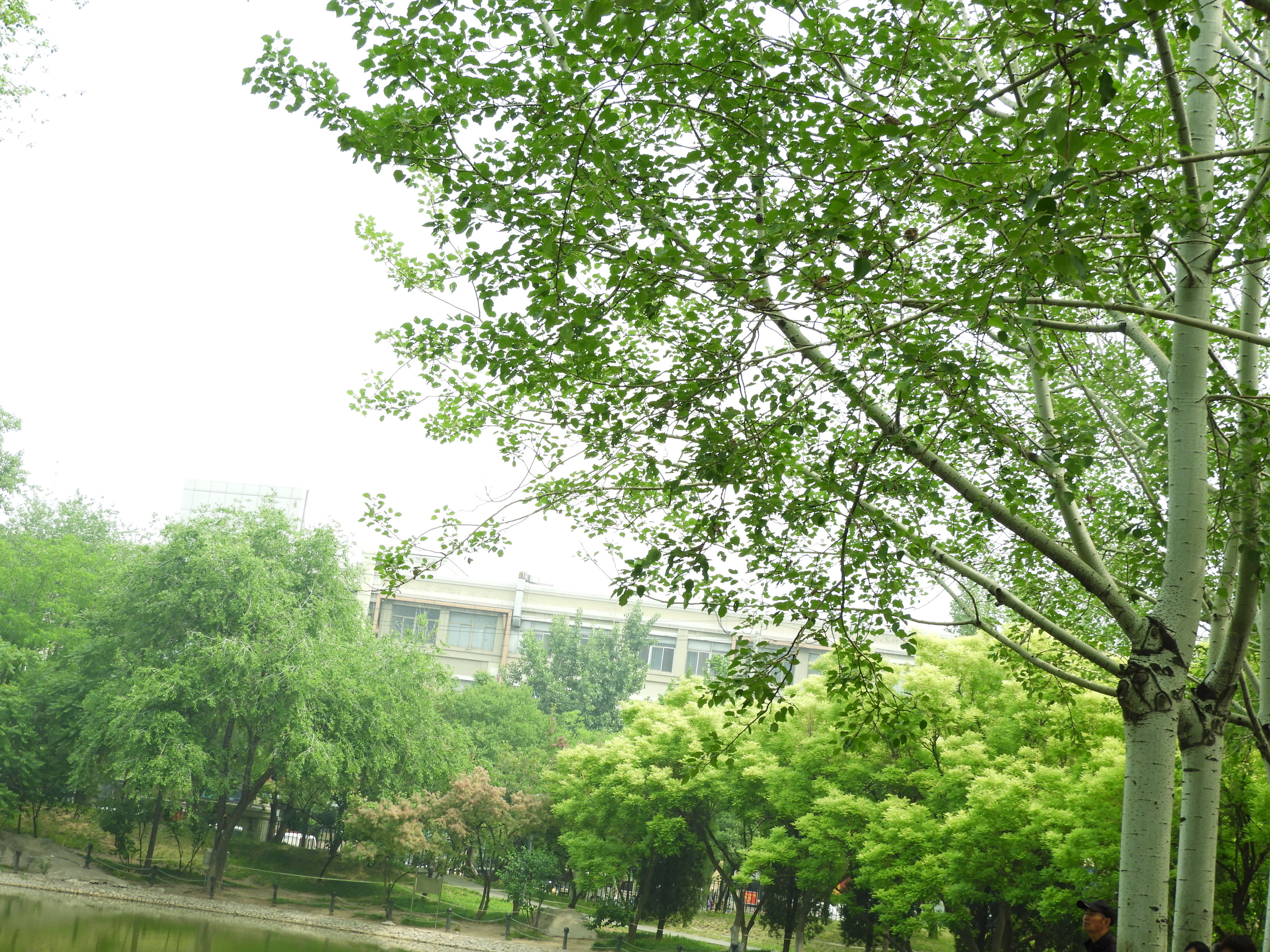 DSCN6829.JPG