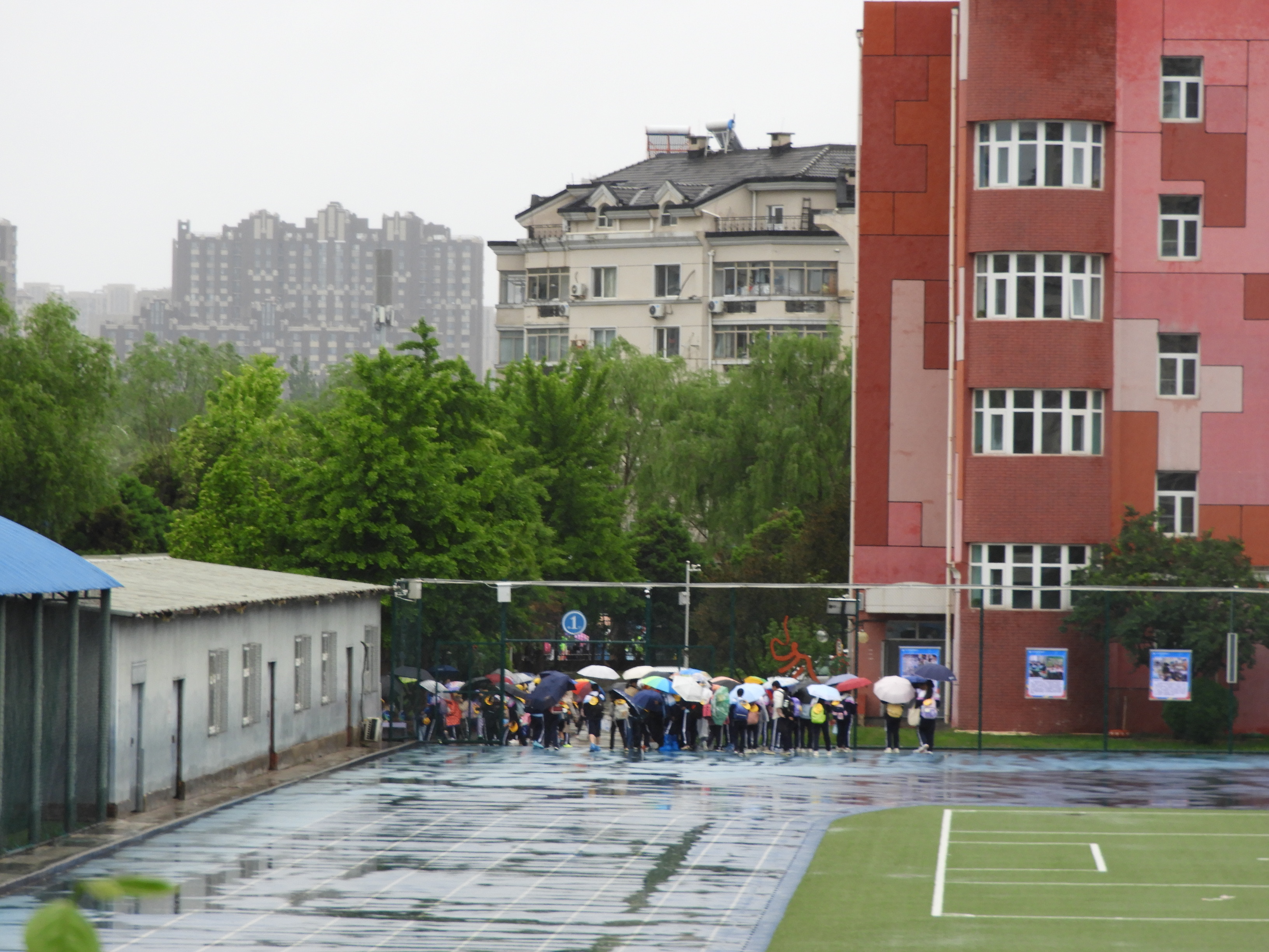 DSCN6877.JPG