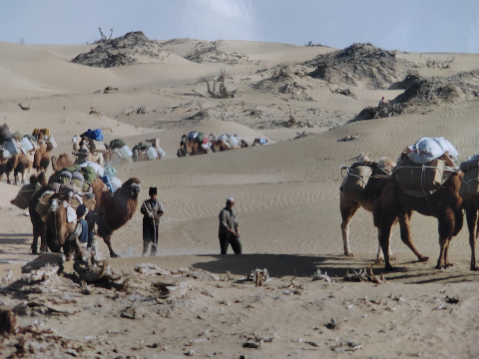 ½Բɳ  _20250508 (9a).jpg