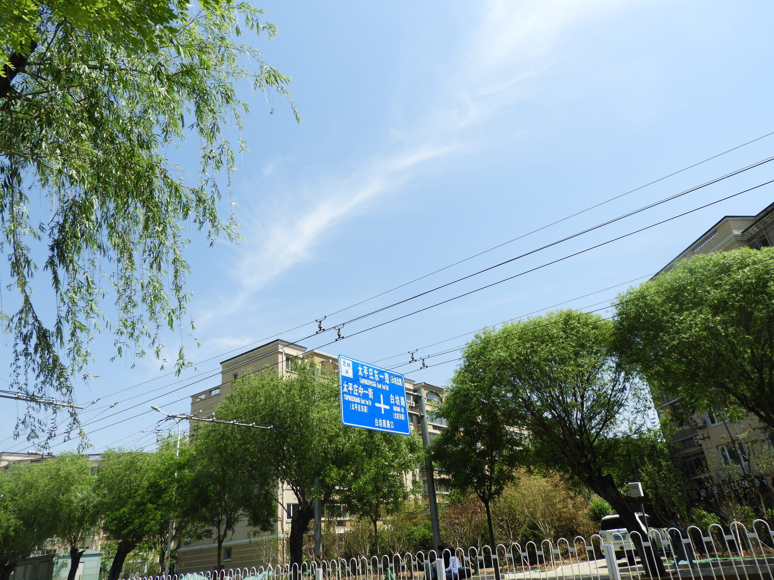 DSCN6959.JPG