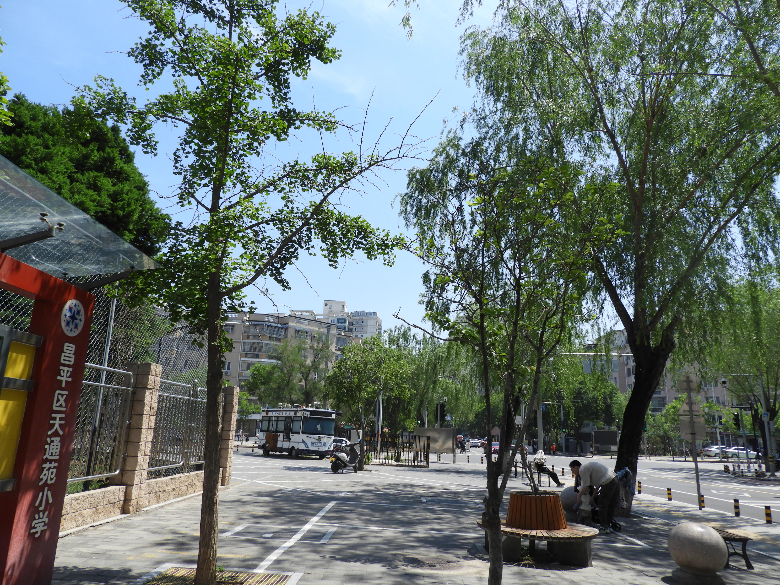 DSCN6949.JPG