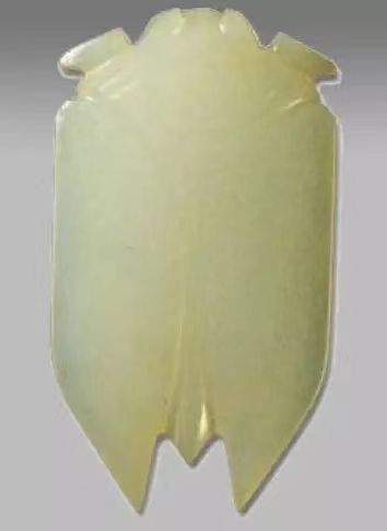 .jpg