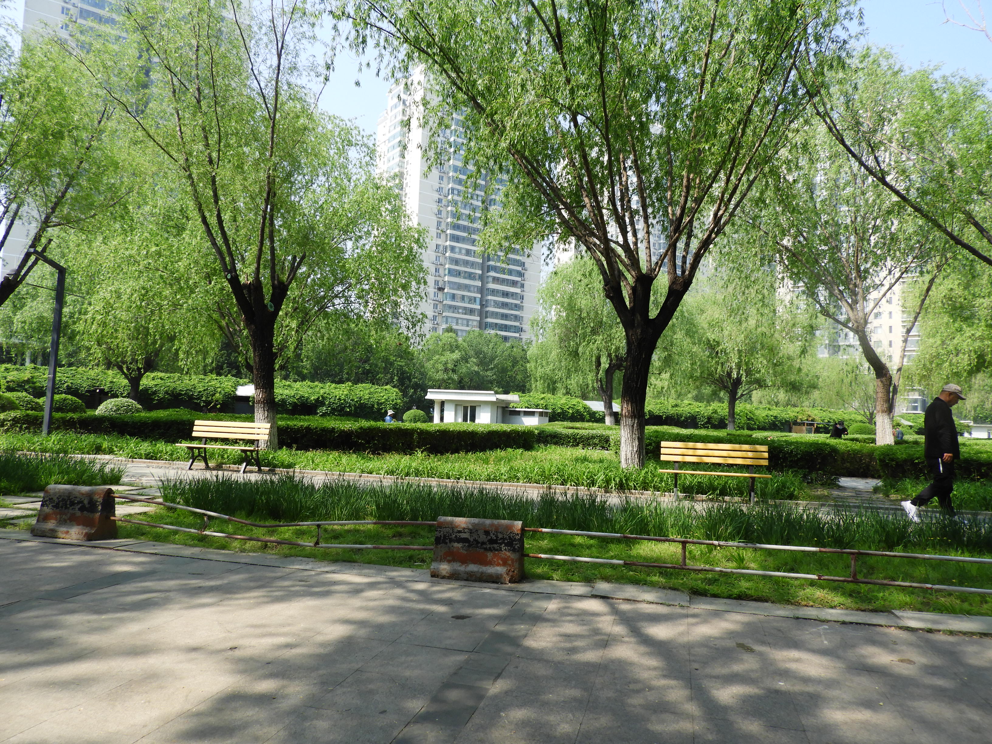 DSCN6966.JPG
