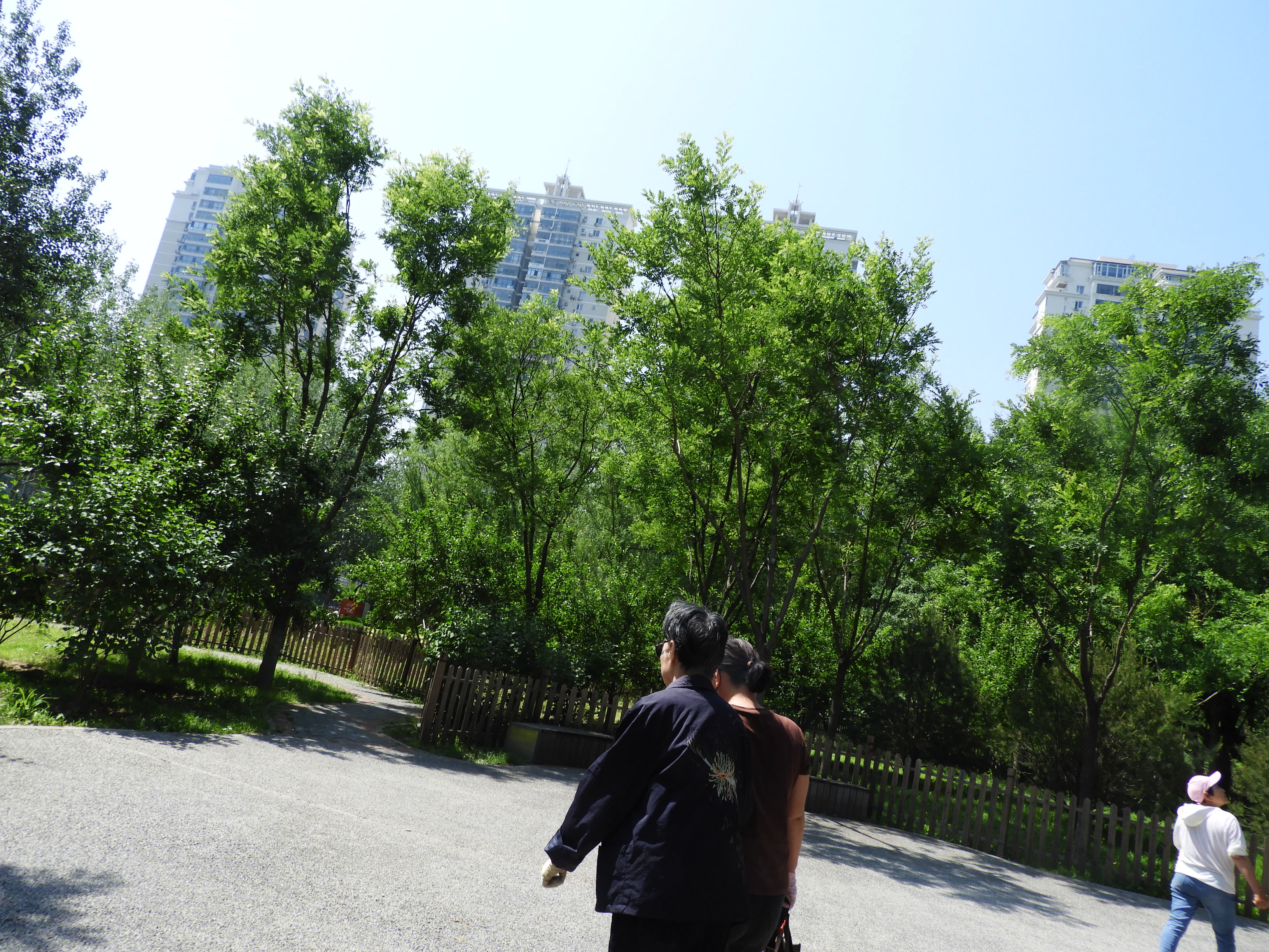 DSCN7145.JPG