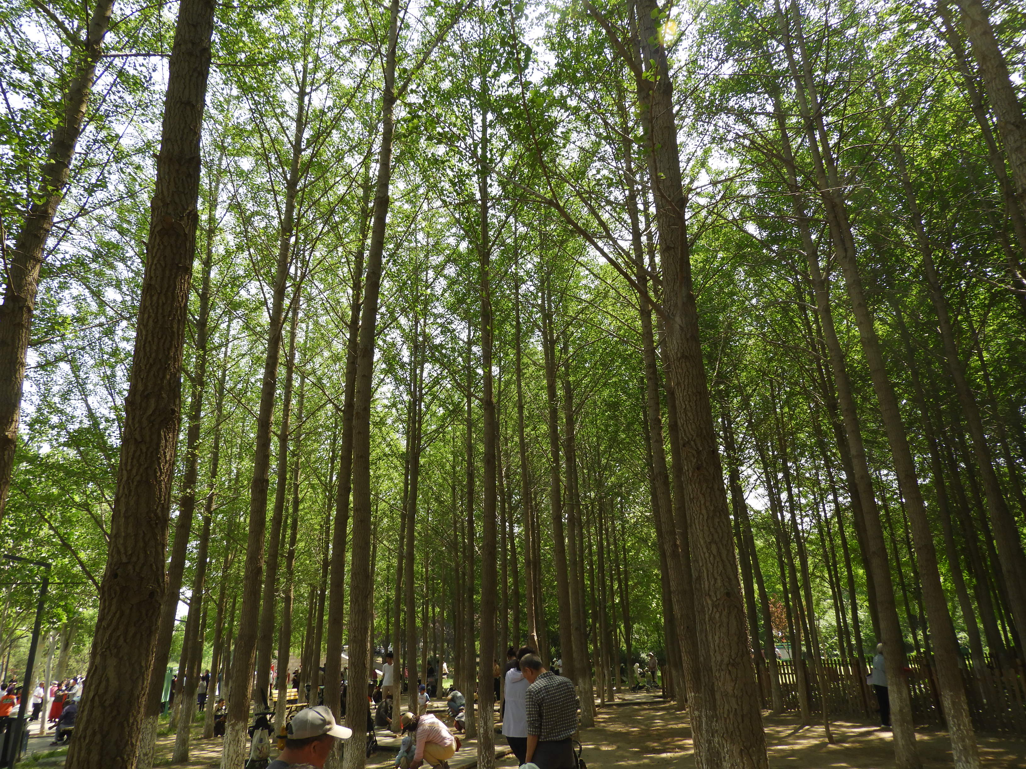 DSCN7140.JPG