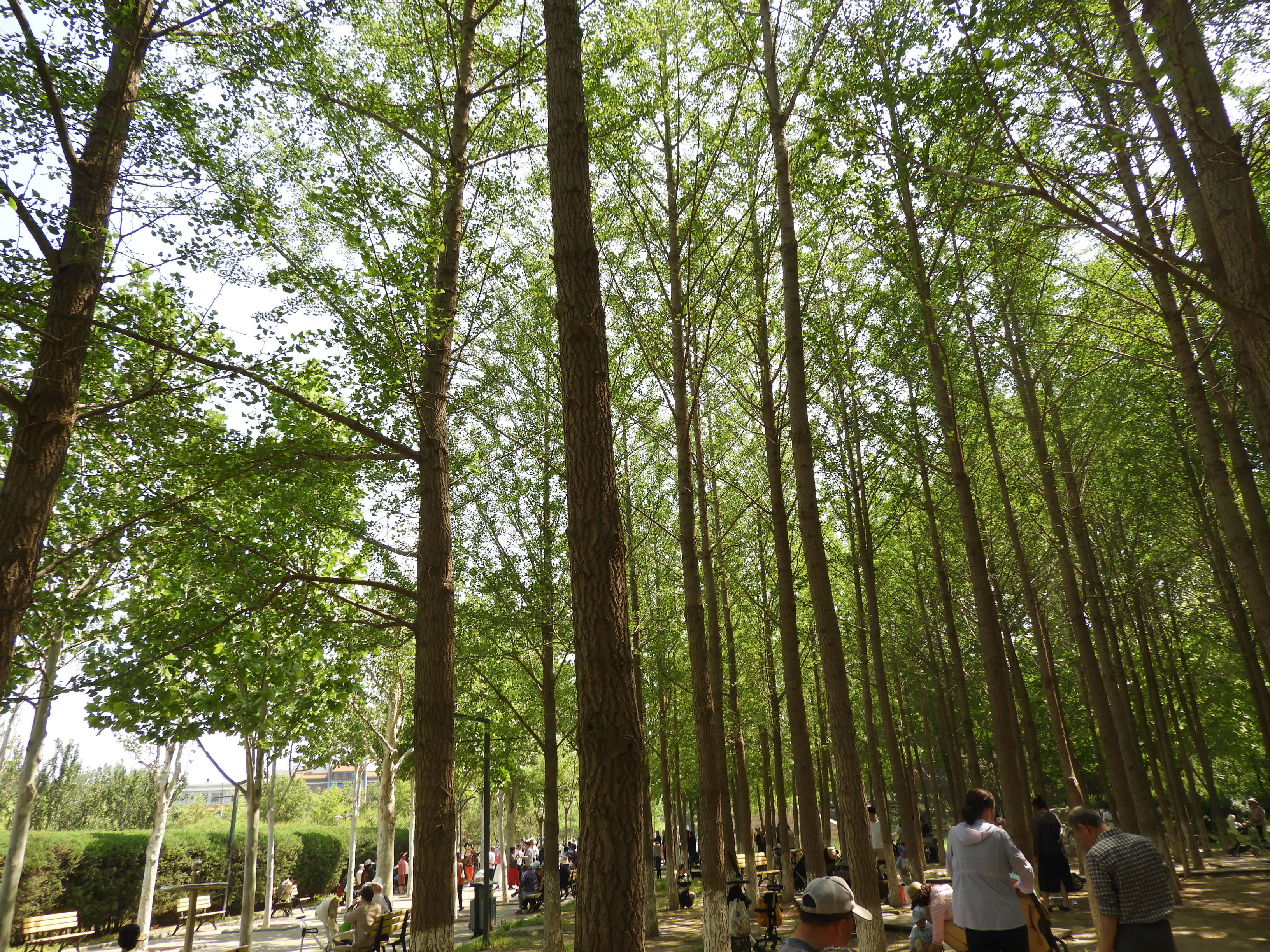 DSCN7139.JPG