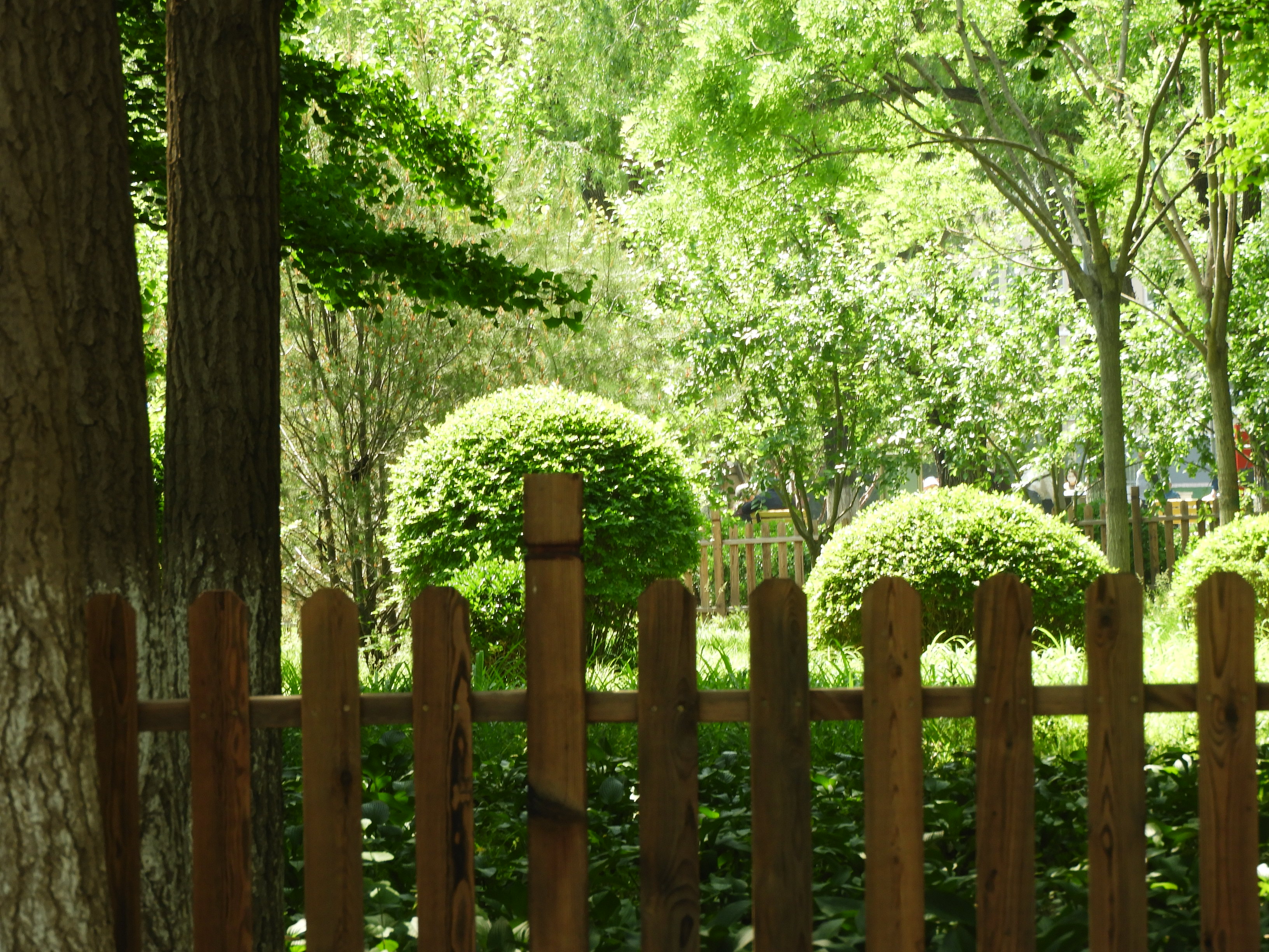 DSCN7136.JPG
