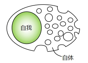 ͼƬ4.jpg