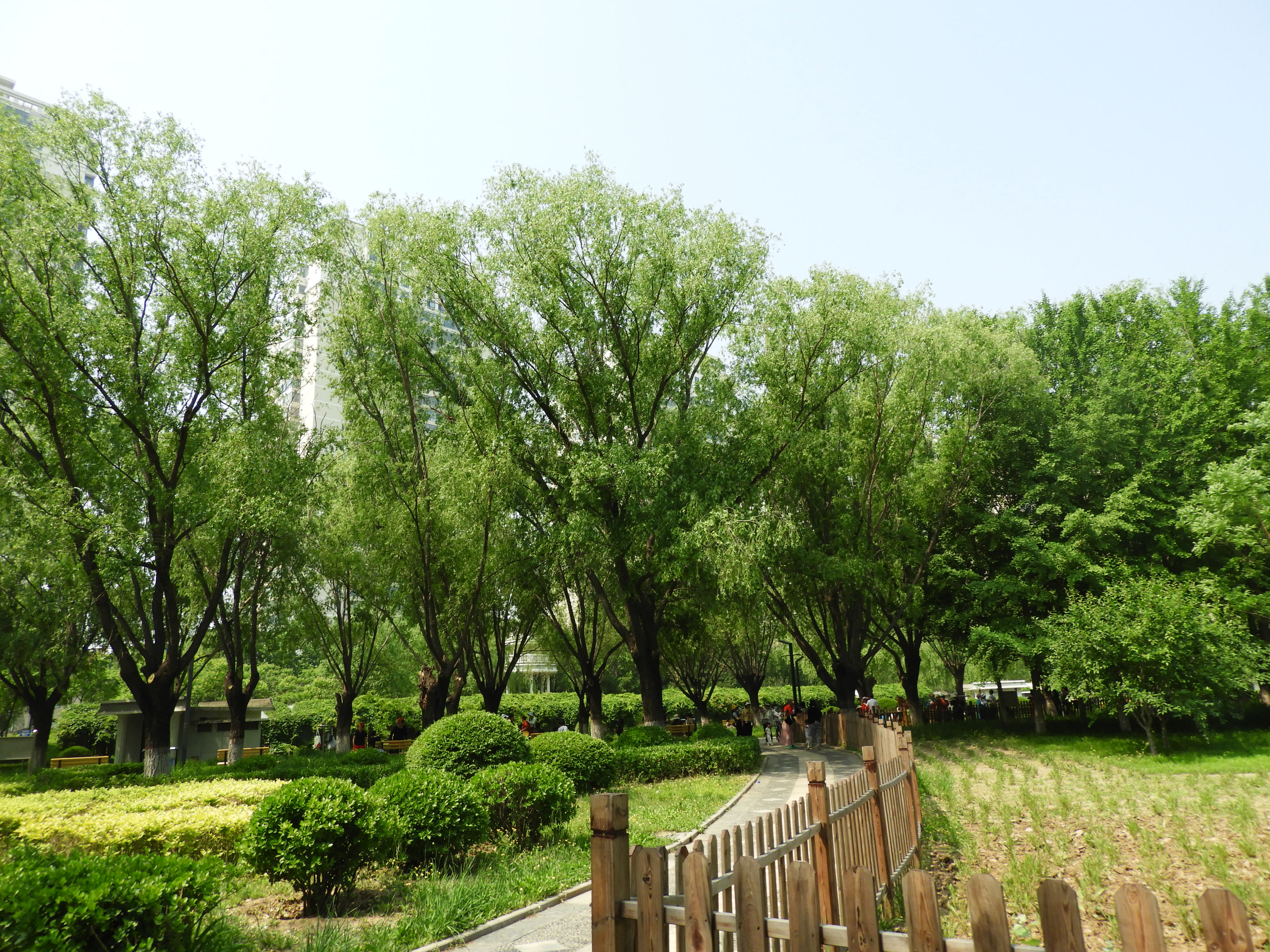 DSCN7186.JPG