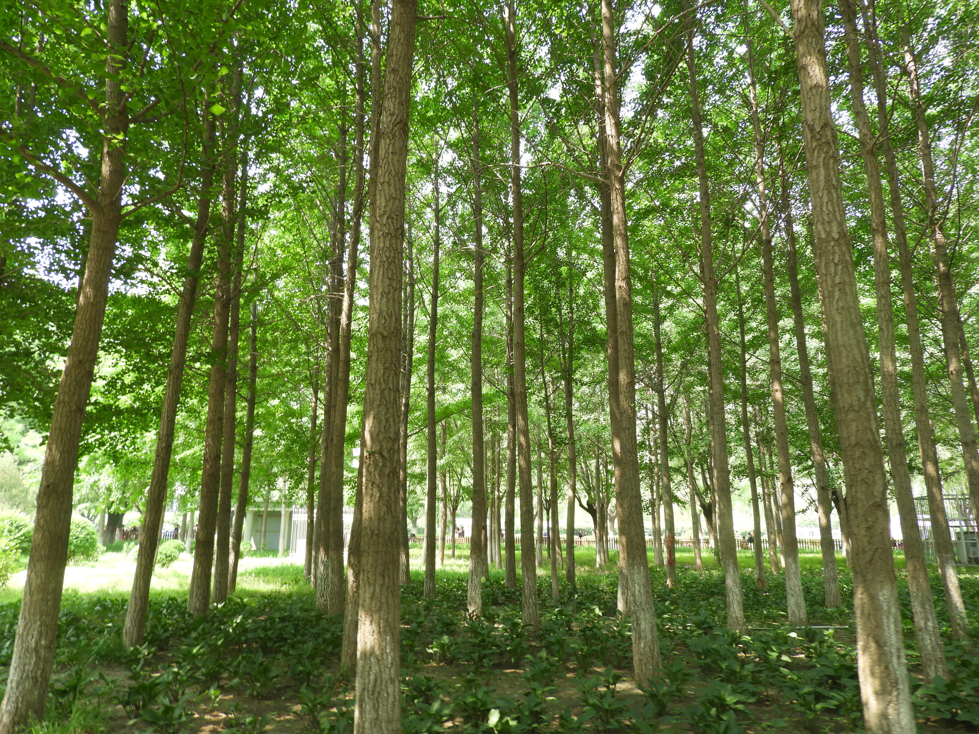DSCN7183.JPG