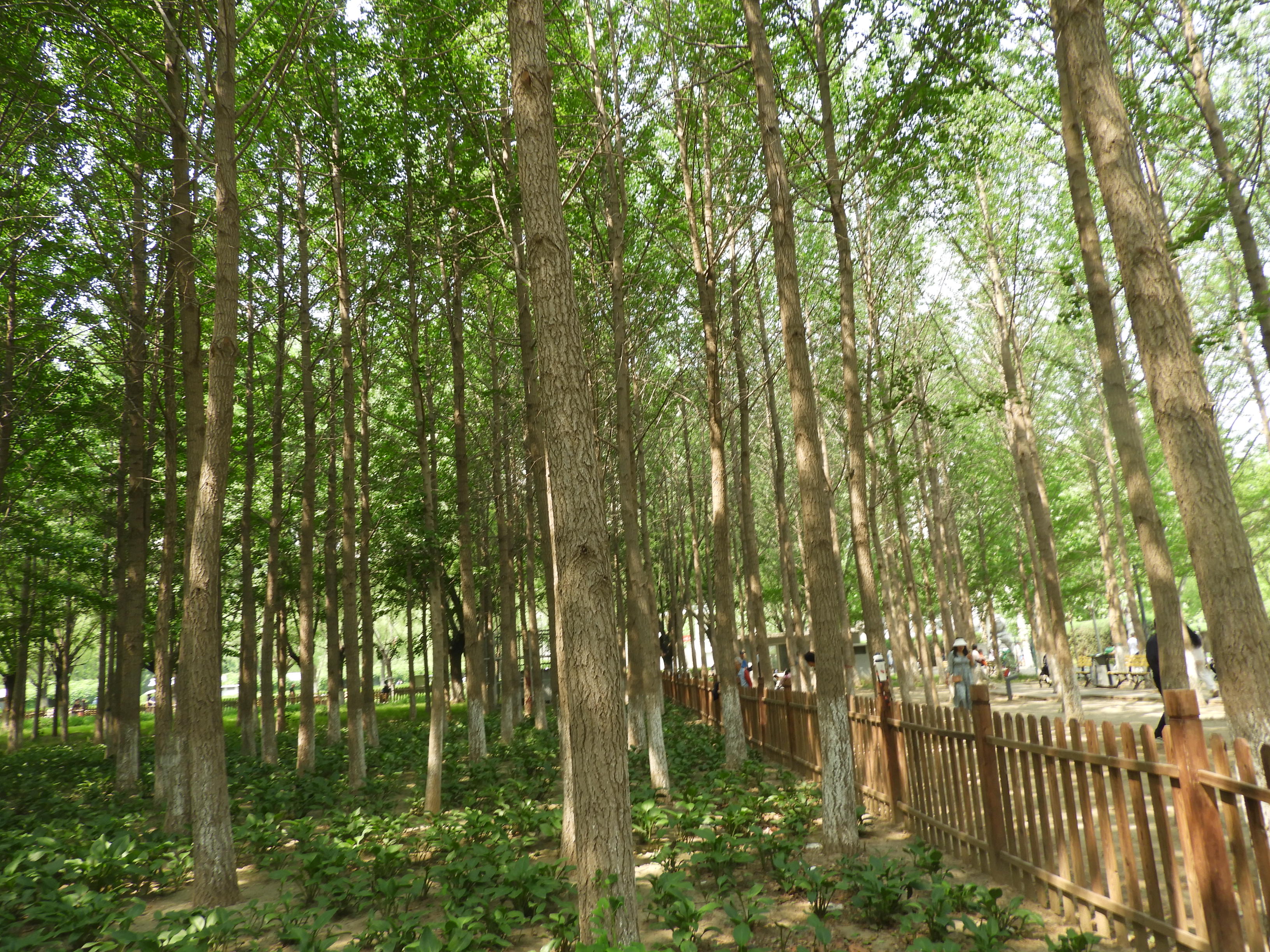 DSCN7180.JPG