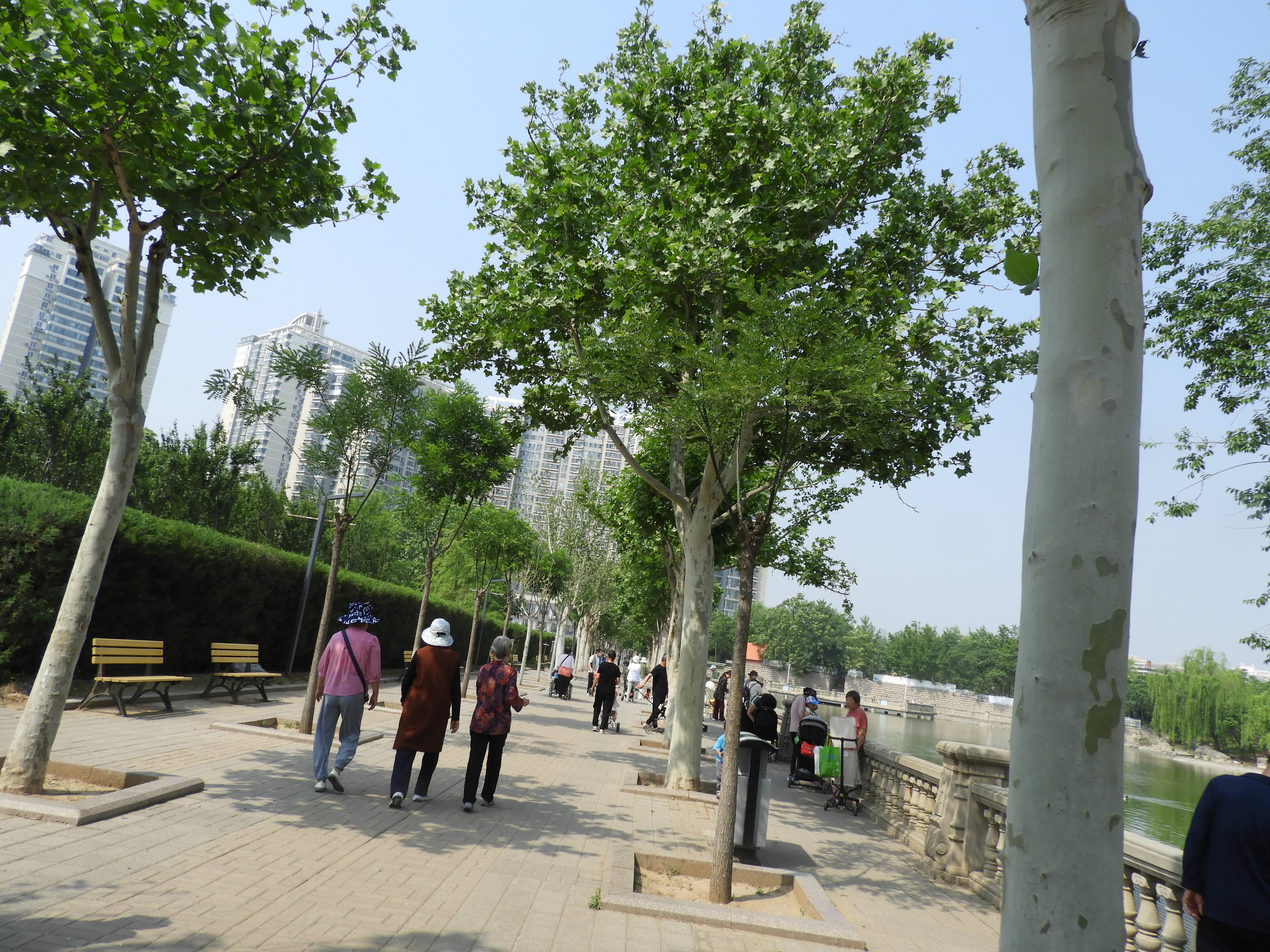 DSCN7163.JPG