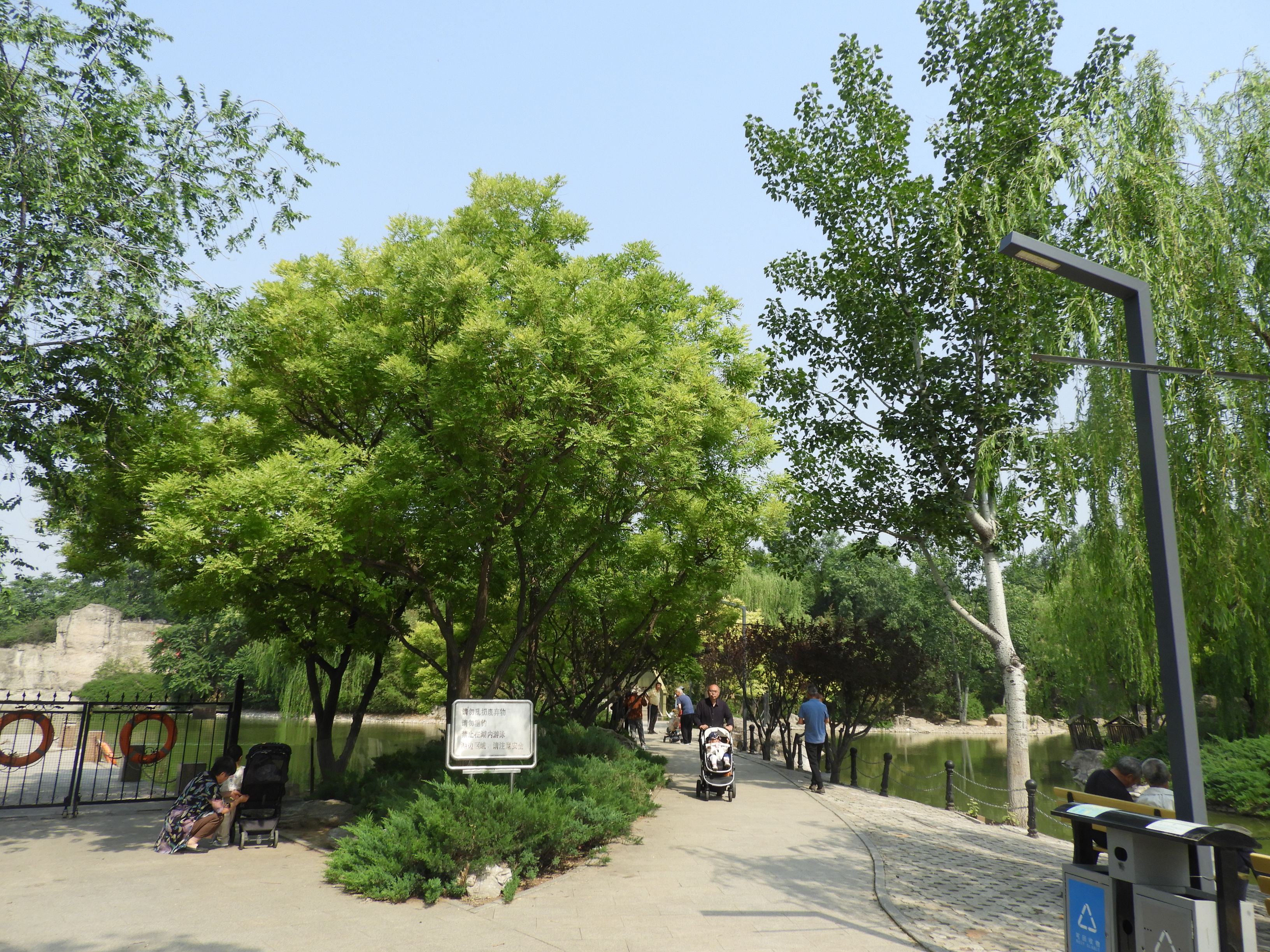 DSCN7160.JPG
