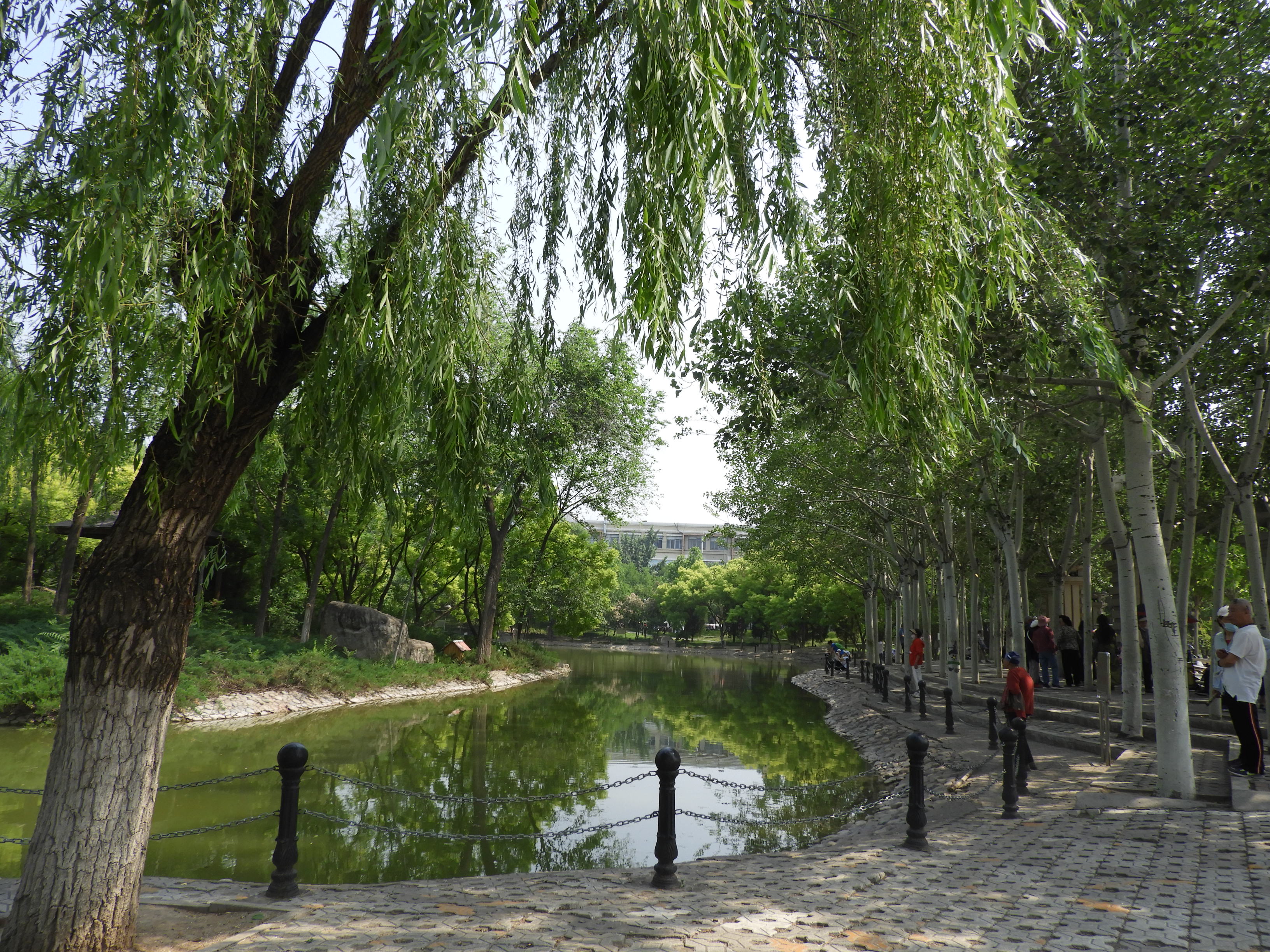 DSCN7158.JPG