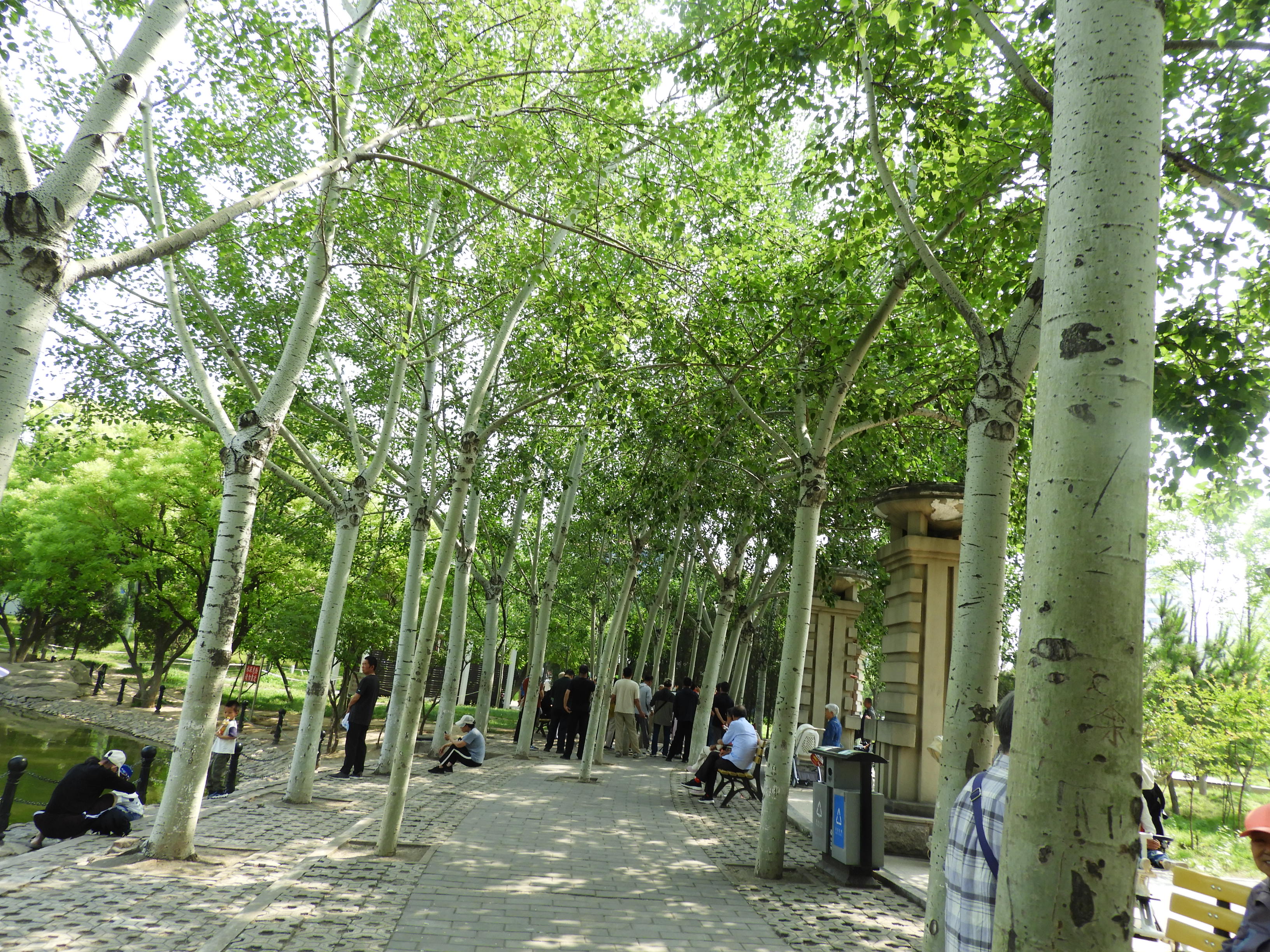DSCN7154.JPG