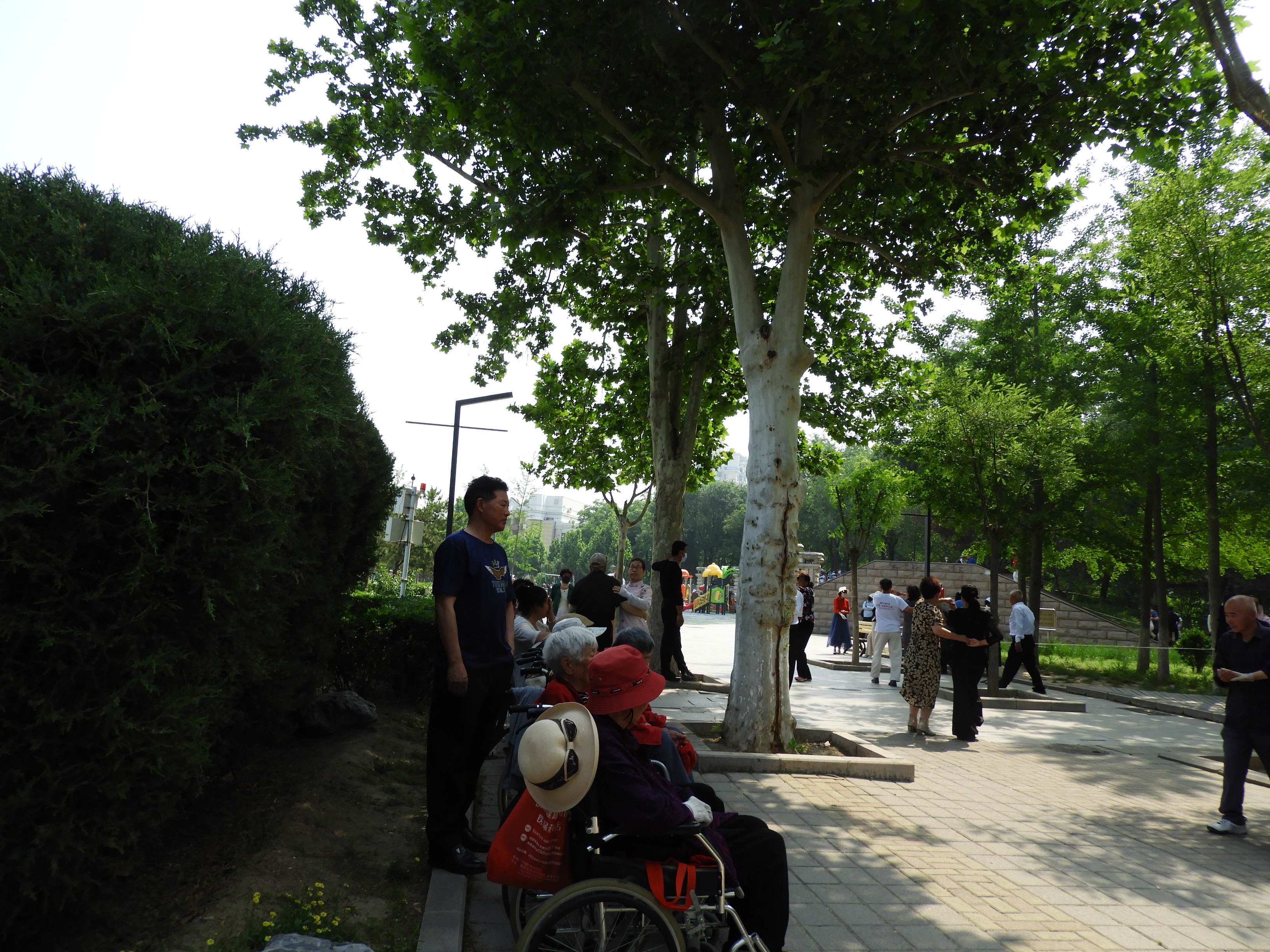 DSCN7153.JPG