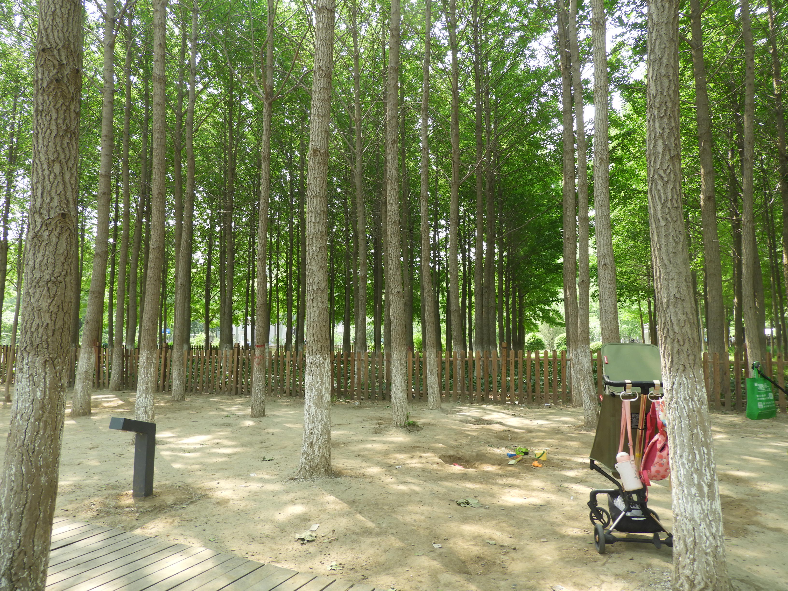 DSCN7151.JPG