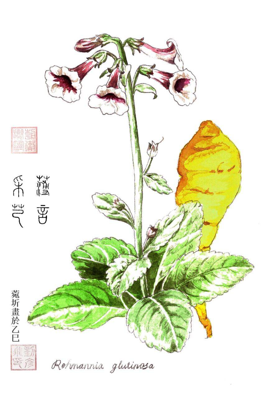 2471b05f0eb173e79d13a86b5983fb39_720.jpg