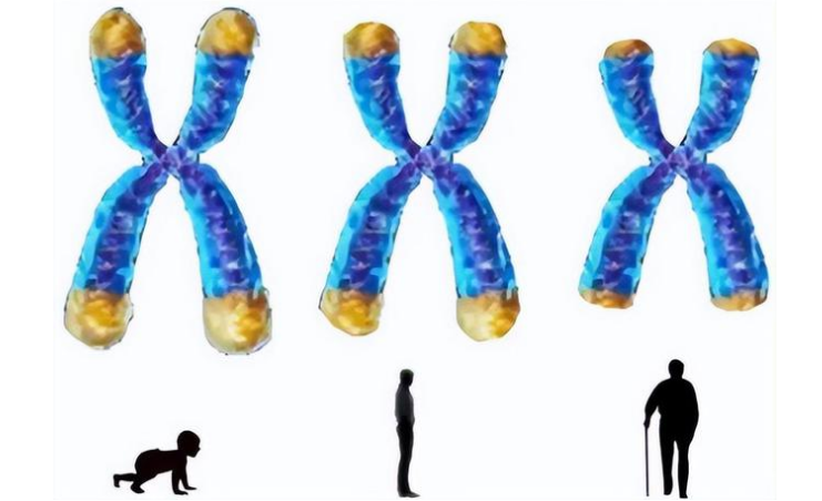 ͼƬ22222.png
