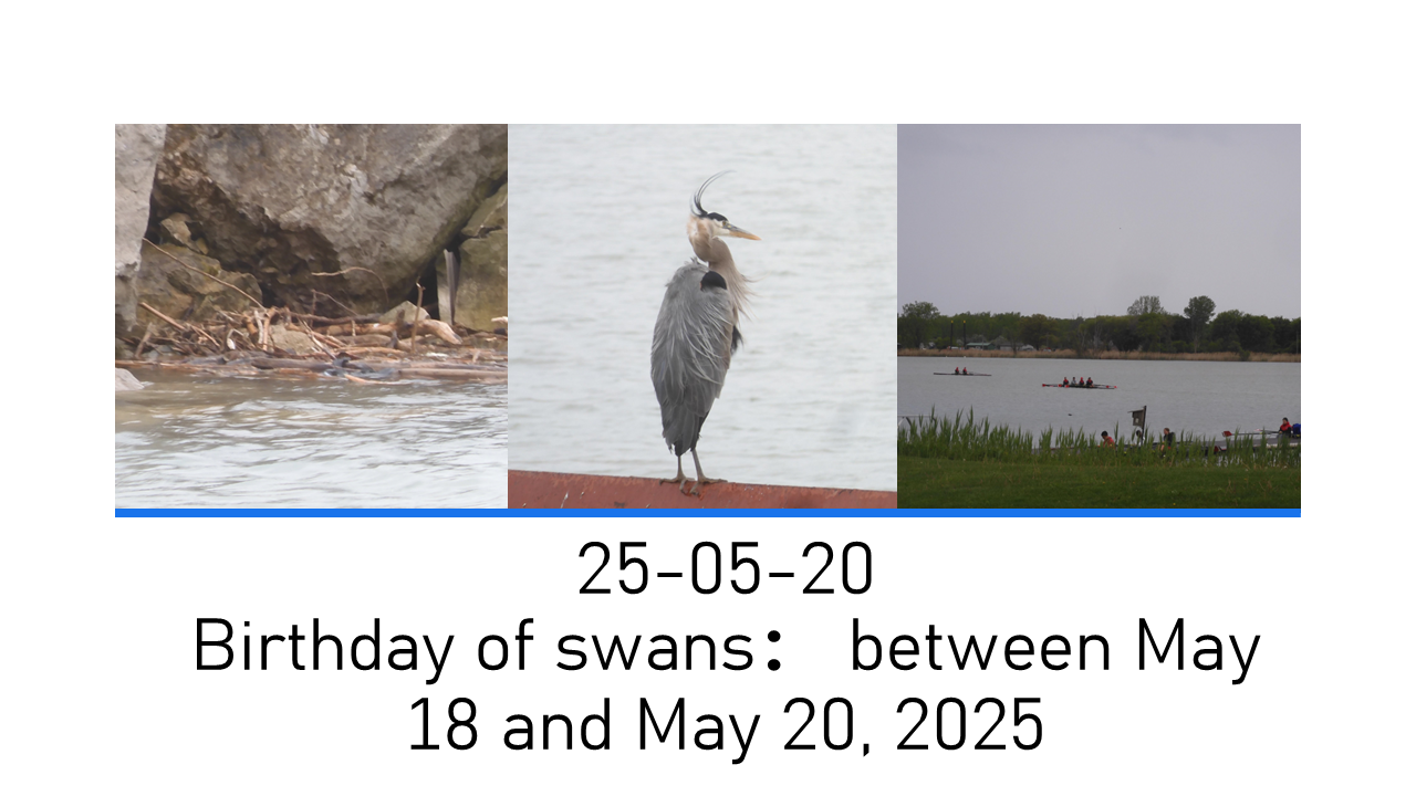 Slide7.PNG